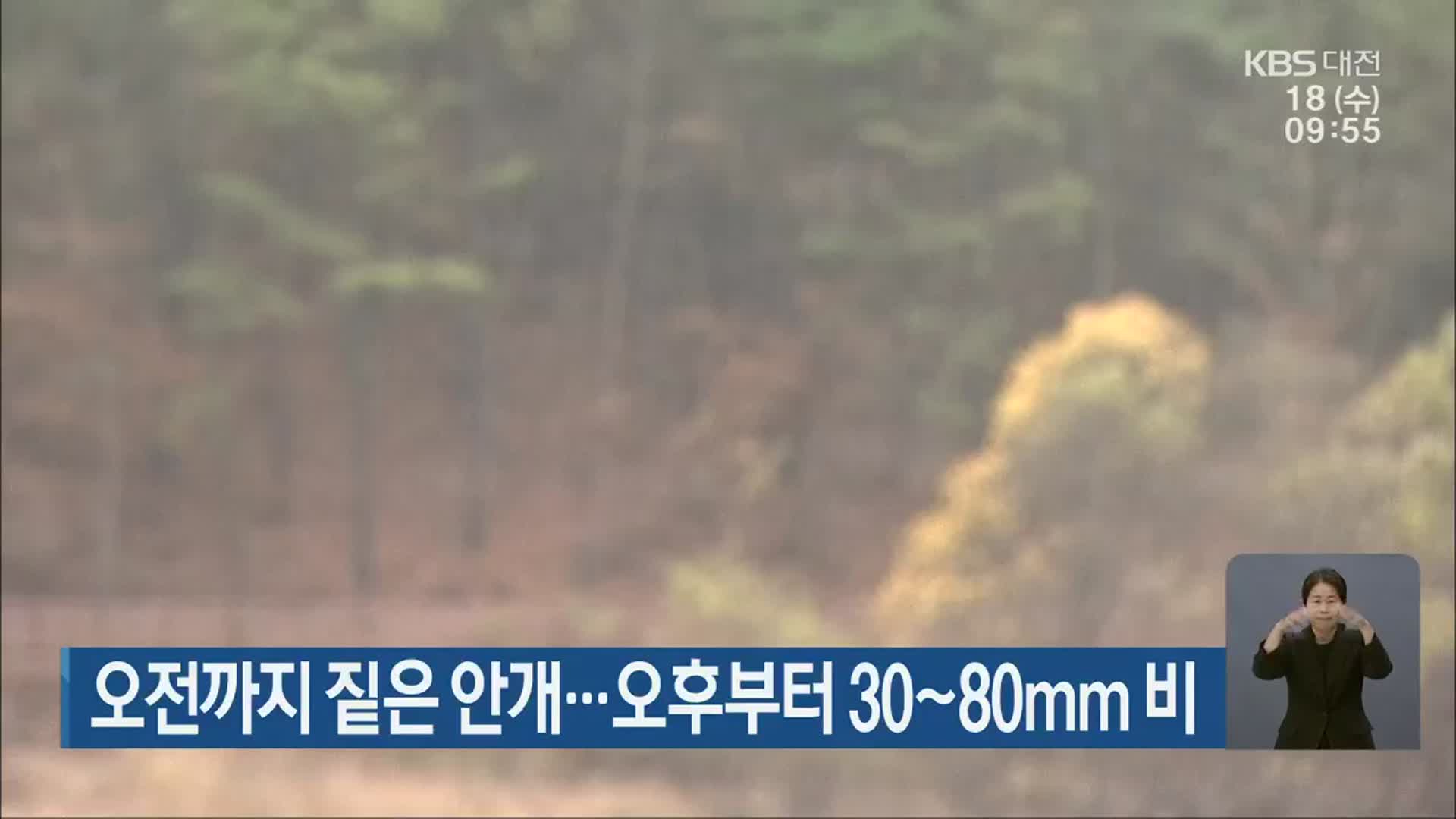 대전·세종·충남 오전까지 짙은 안개…오후부터 30~80mm 비