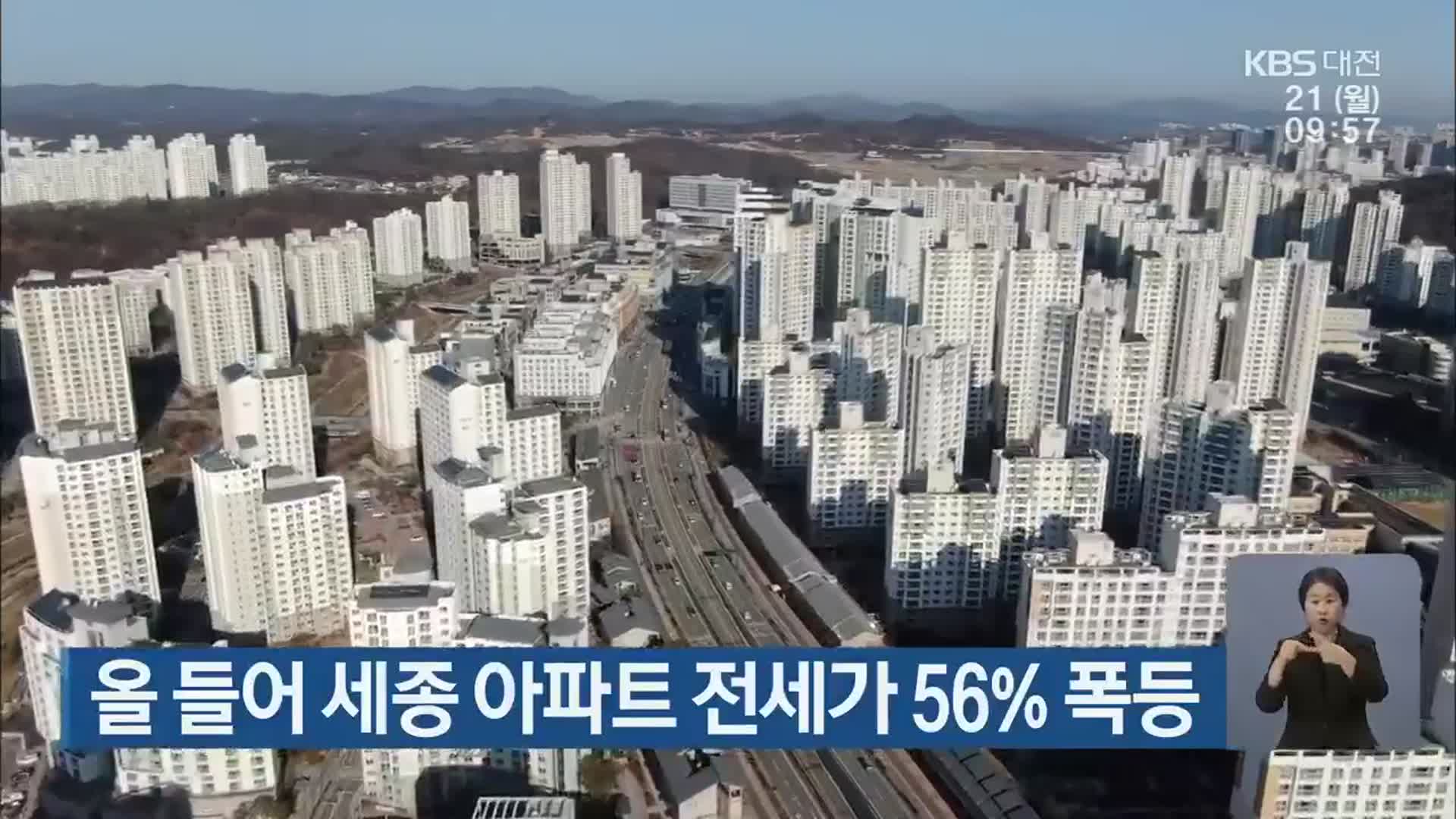 올 들어 세종 아파트 전세가 56% 폭등