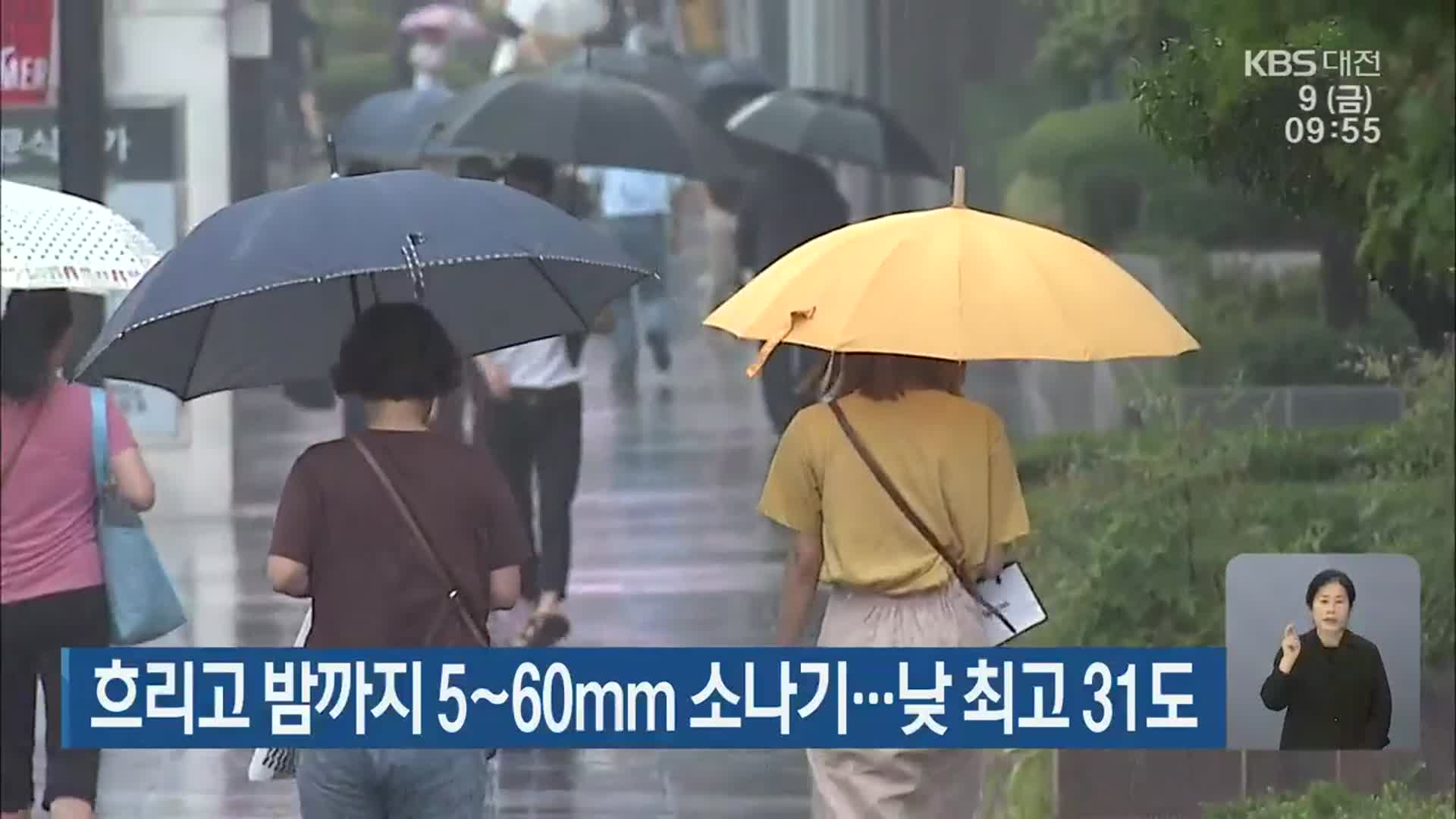 대전·세종·충남 흐리고 밤까지 5~60mm 소나기…낮 최고 31도