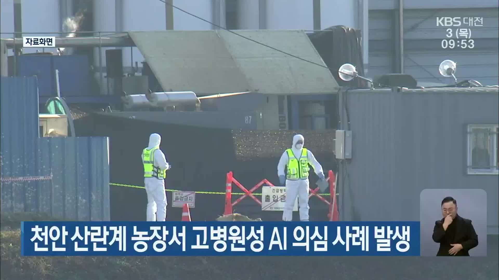 천안 산란계 농장서 고병원성 AI 의심 사례 발생