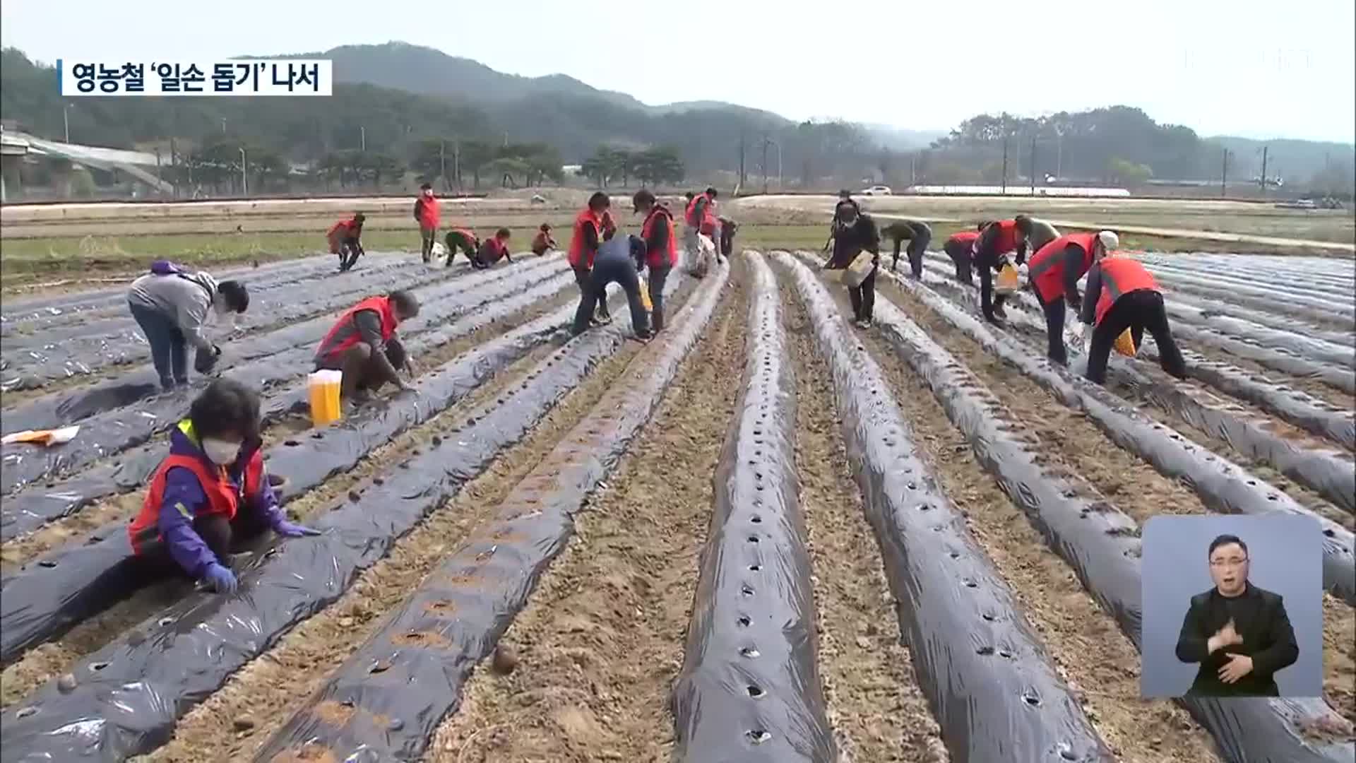 본격 영농철 ‘인력 지원’ 팔 걷어붙인 공동체