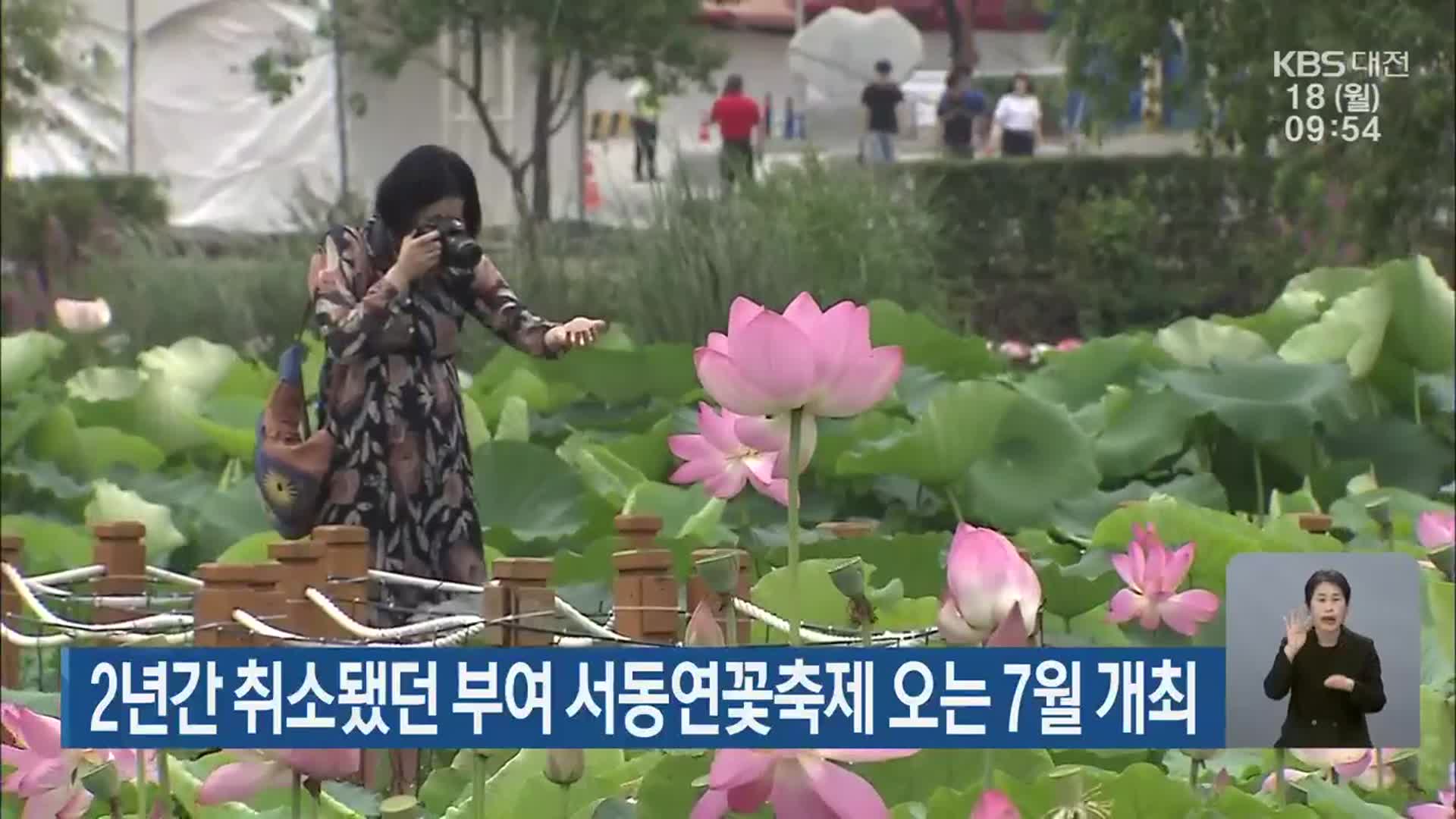 2년간 취소됐던 부여 서동연꽃축제 오는 7월 개최