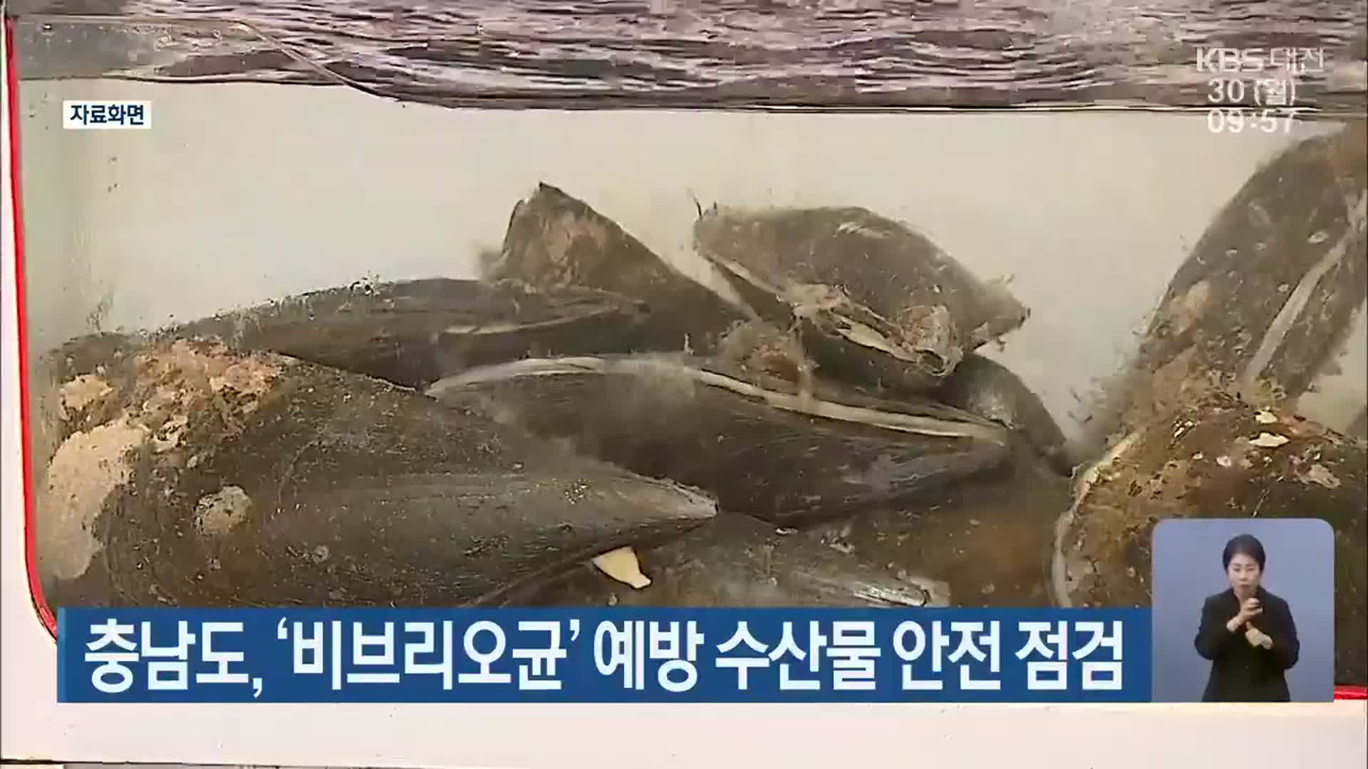 충남도, ‘비브리오균’ 예방 수산물 안전 점검