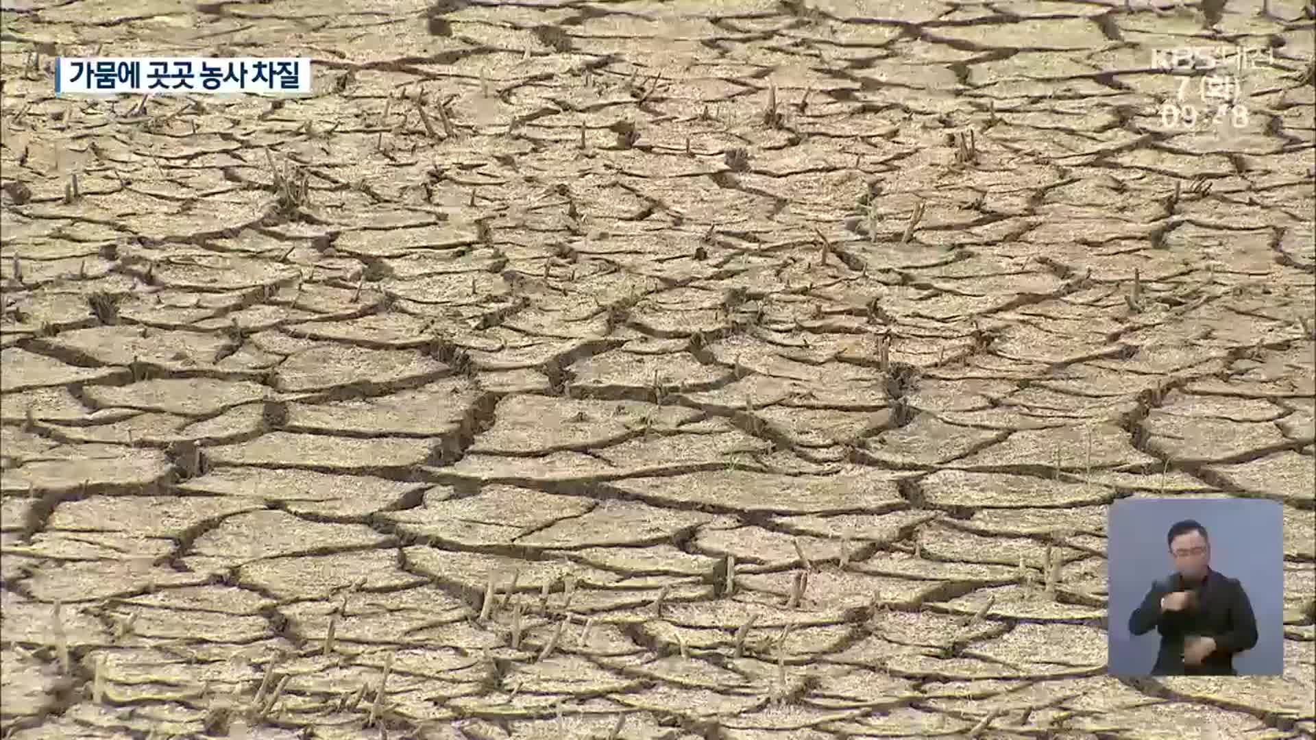 충남 5월 강수량 5.4mm…가뭄에 농사 차질