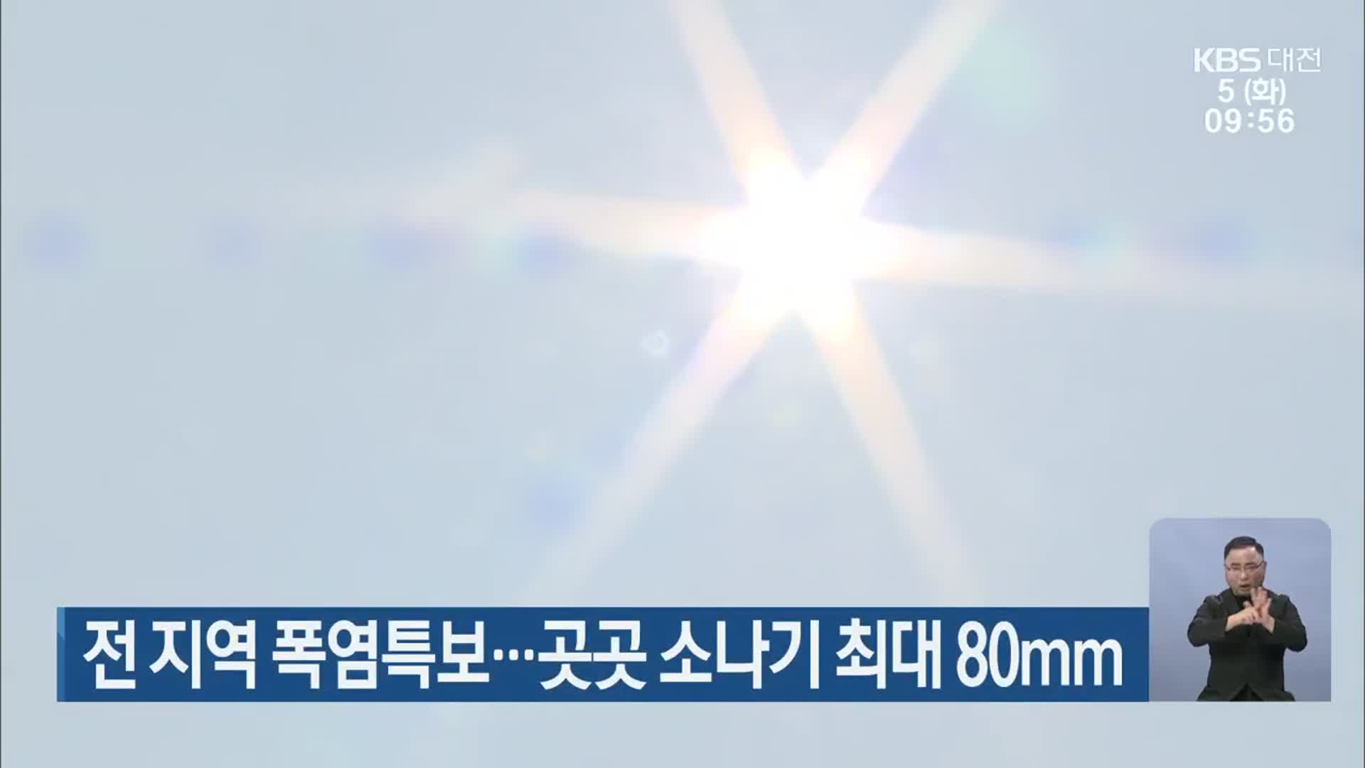 대전·세종·충남 전 지역 폭염특보…곳곳 소나기 최대 80mm