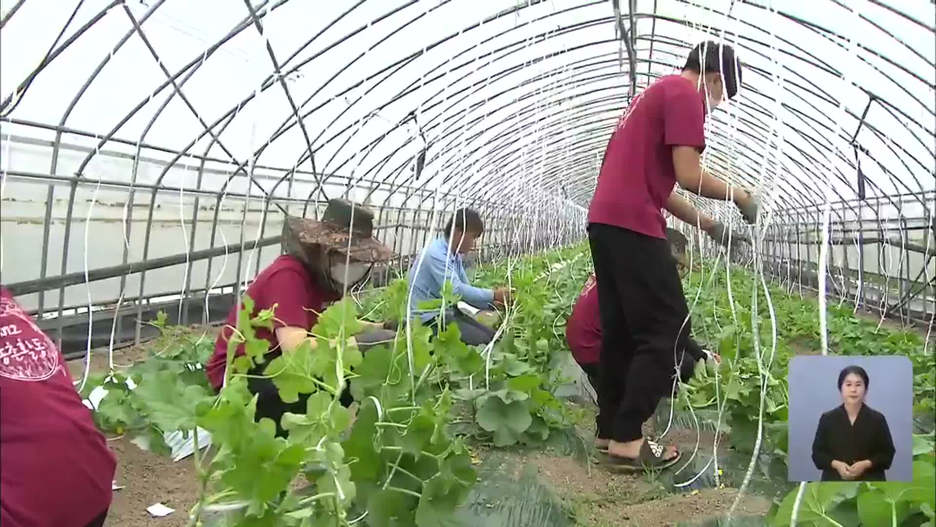 3년 만의 단체 활동…대학가 ‘농활’ 바람