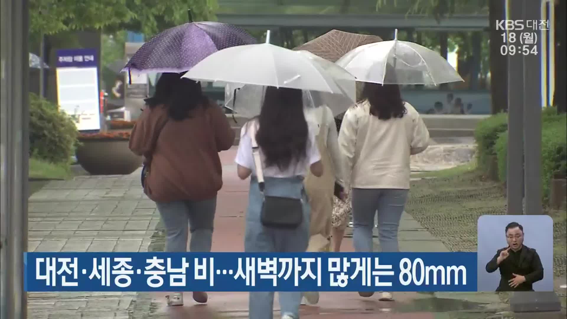 대전·세종·충남 비…새벽까지 많게는 80mm