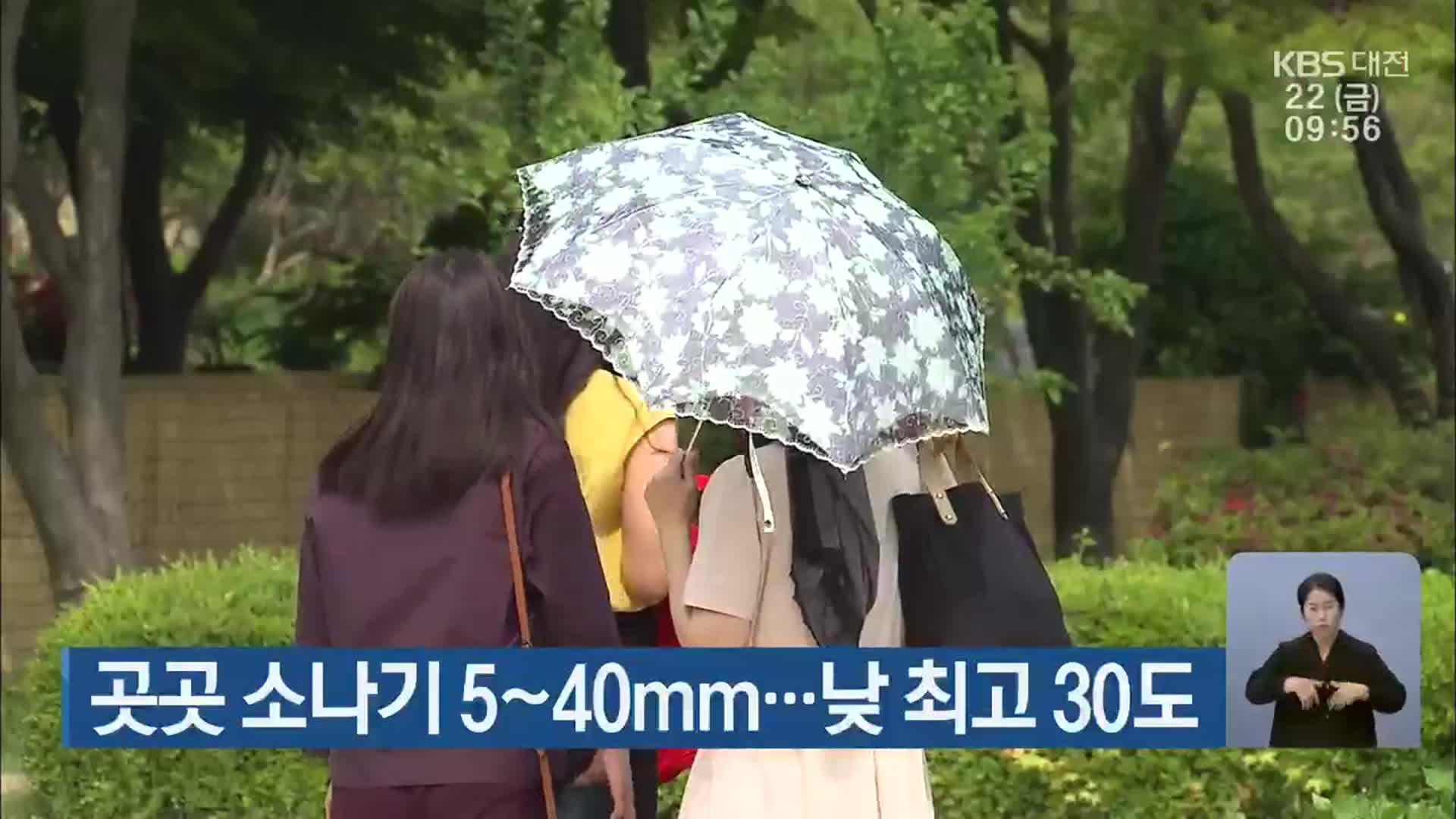대전·세종·충남 곳곳 소나기 5~40mm…낮 최고 30도