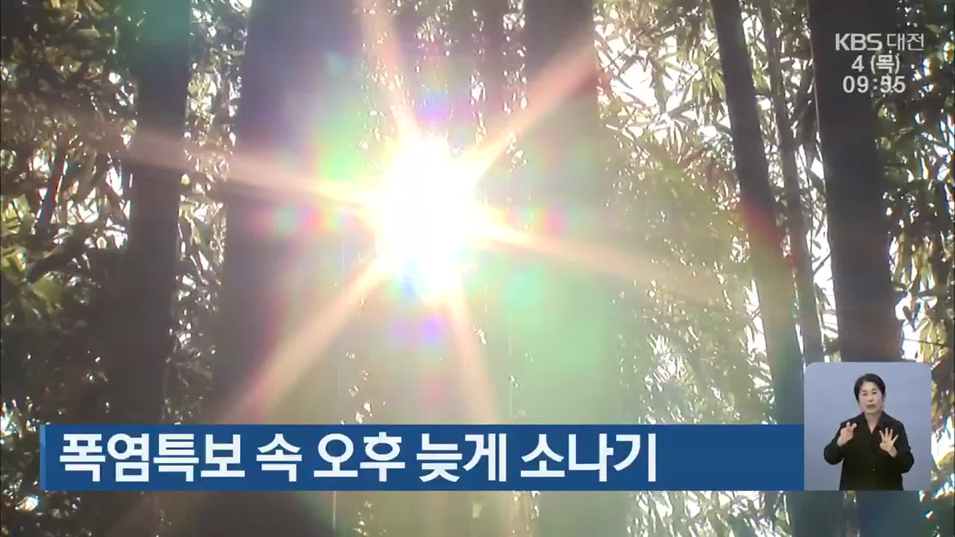 대전·세종·충남 폭염특보 속 오후 늦게 소나기 