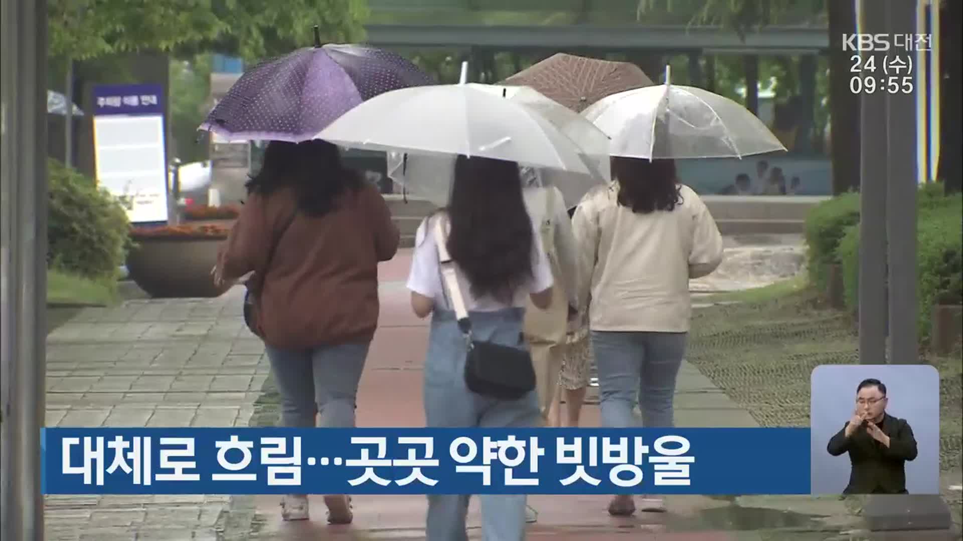대전·세종·충남 대체로 흐림…곳곳 약한 빗방울