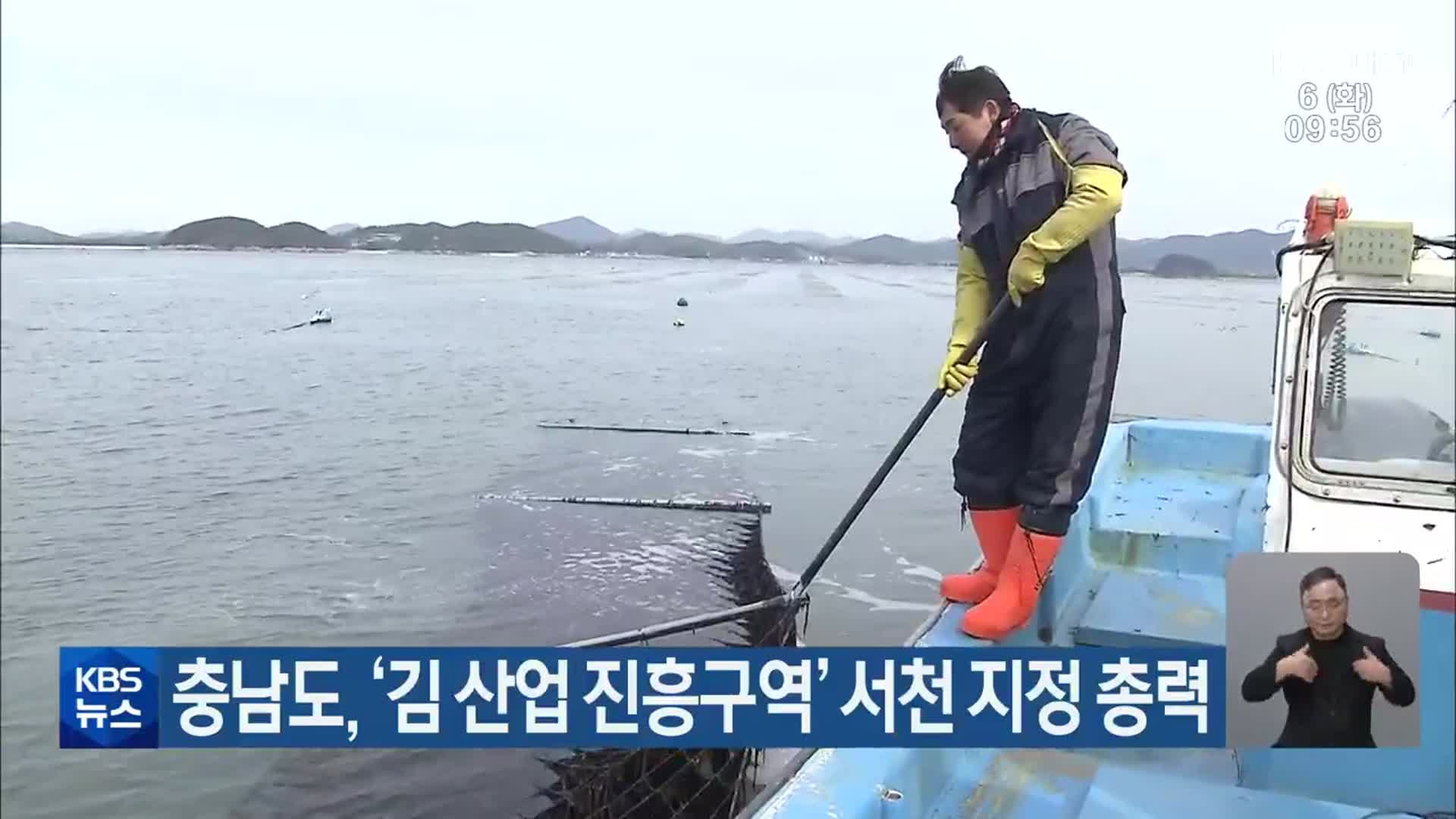 충남도, ‘김 산업 진흥구역’ 서천 지정 총력