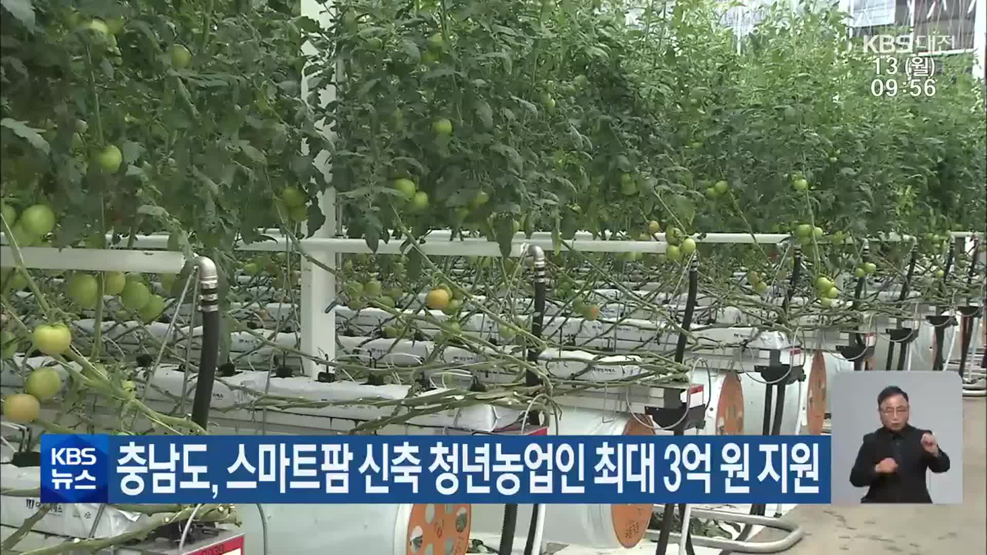 충남도, 스마트팜 신축 청년농업인 최대 3억 원 지원