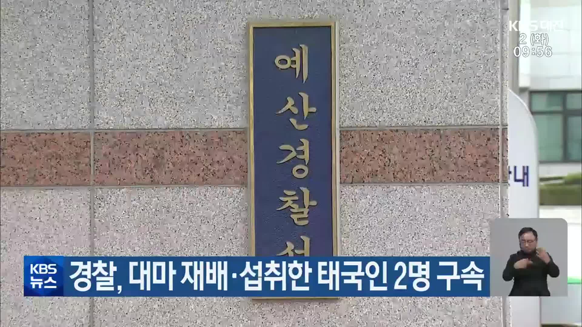 경찰, 대마 재배·섭취한 태국인 2명 구속