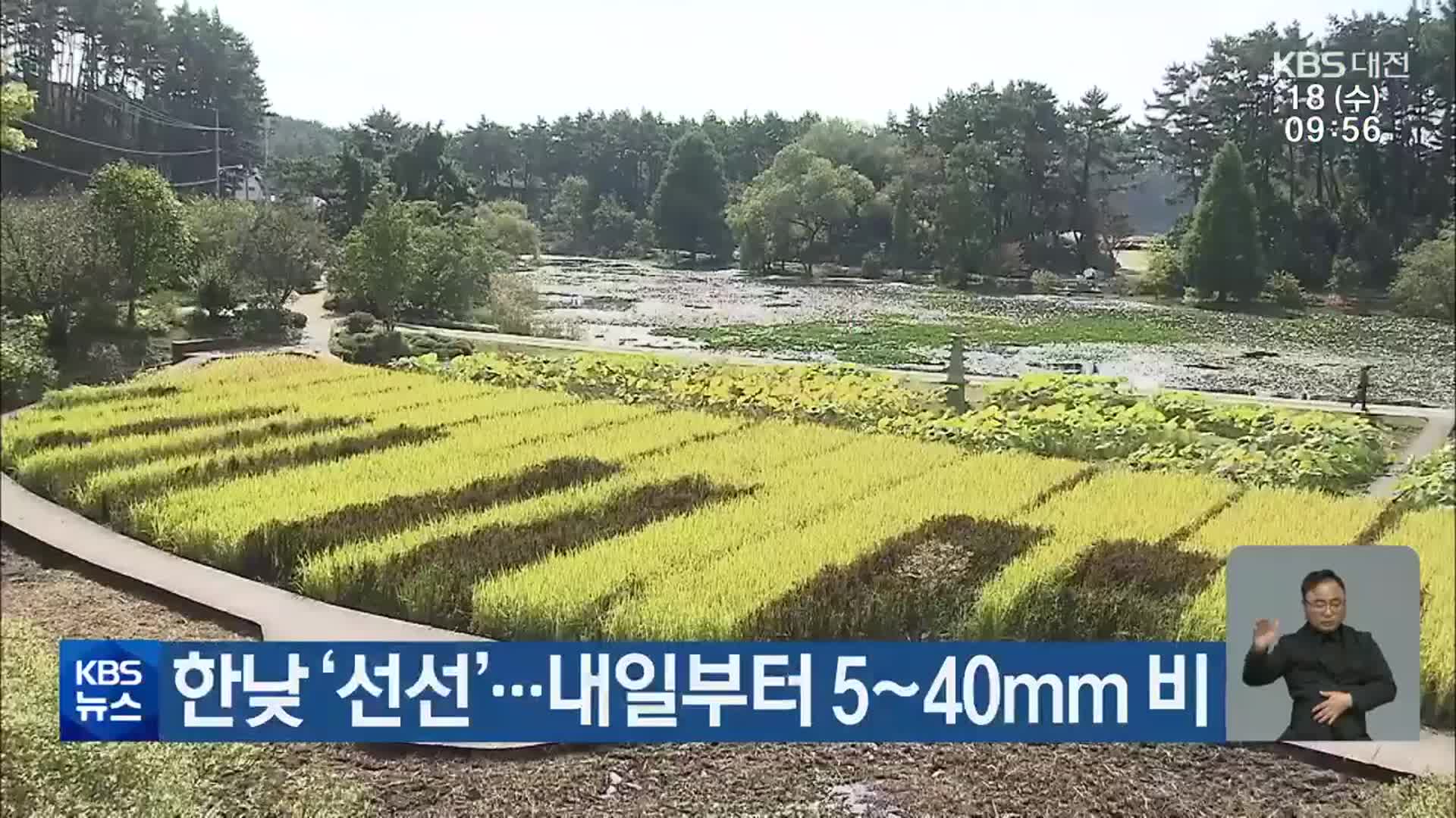 대전·세종·충남 한낮 ‘선선’…내일부터 5~40mm 비