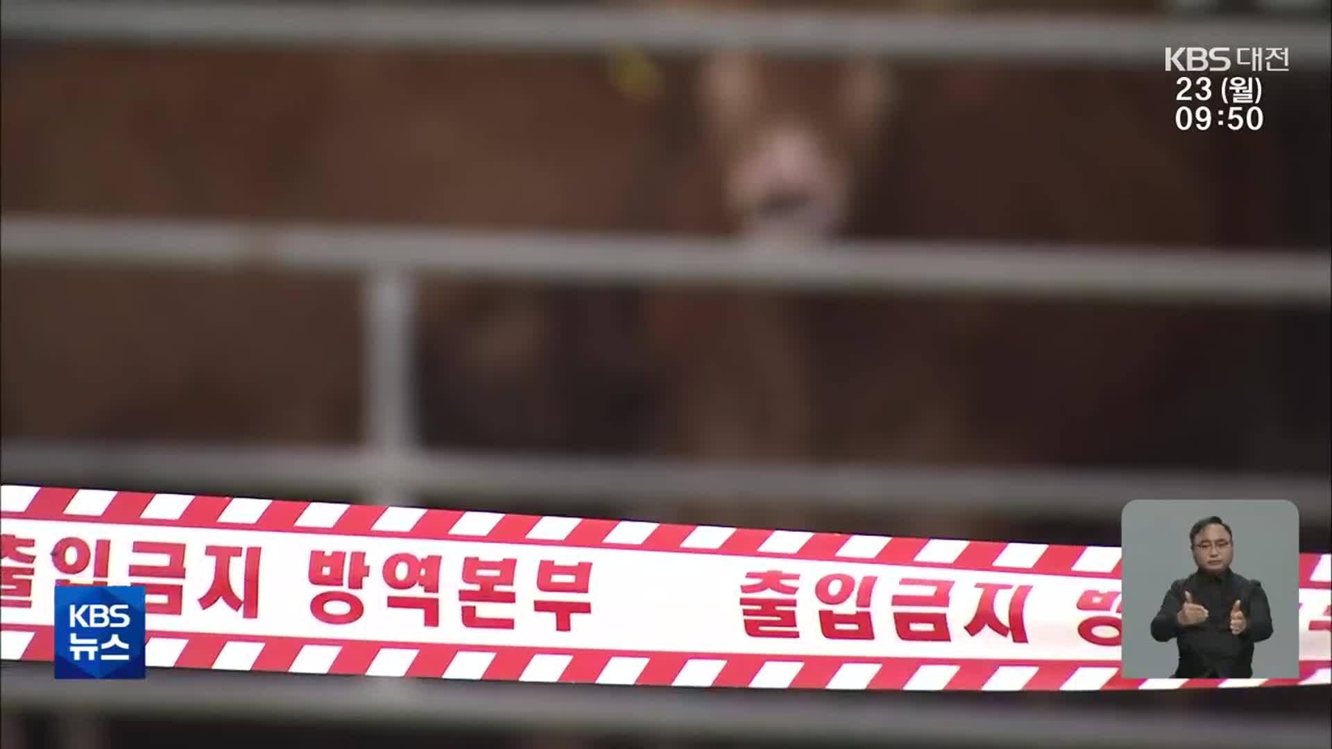 서산·태안 4개 농장서 럼피스킨병 추가 발생