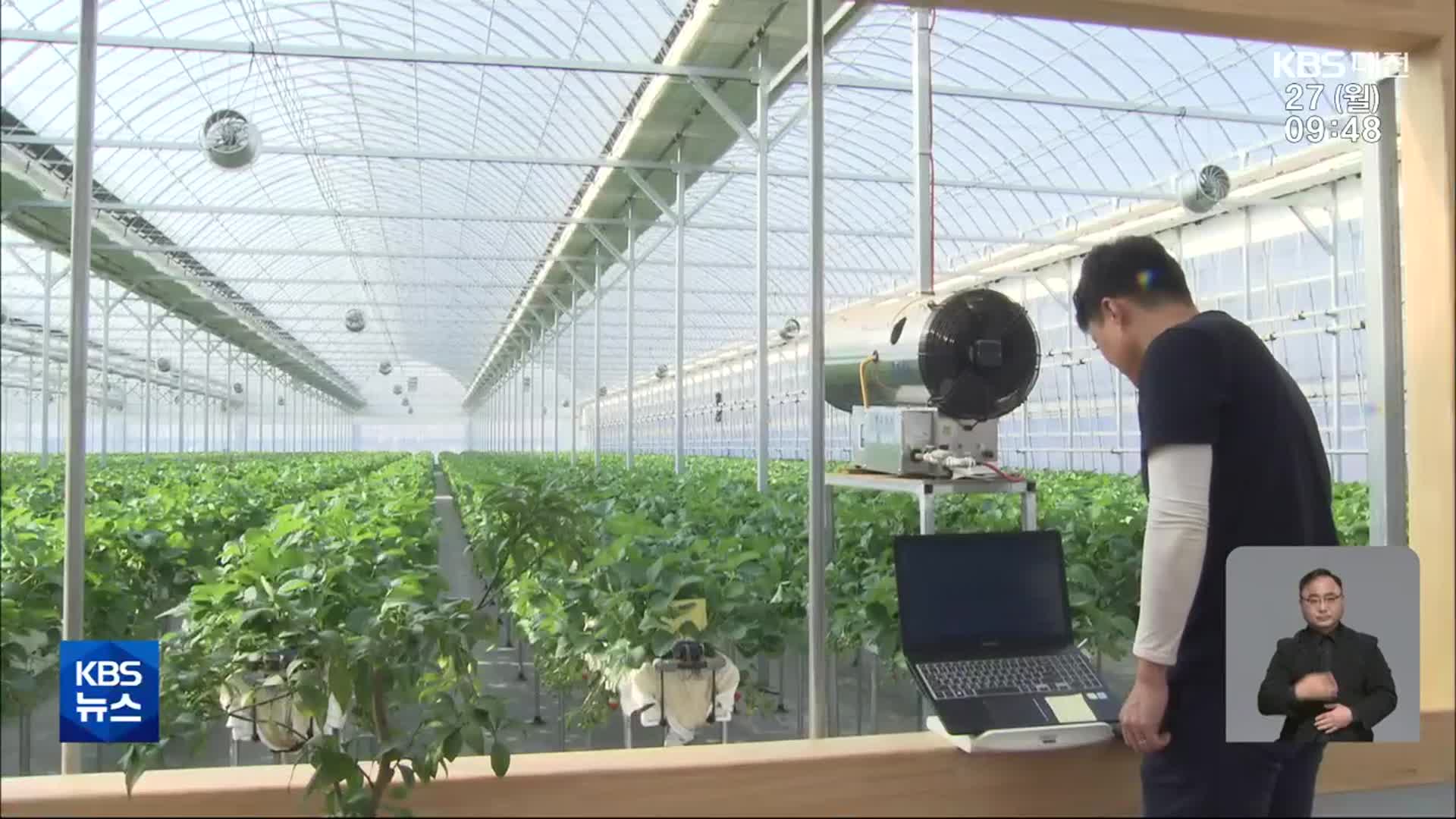 귀농판도 바꾸는 스마트팜…“청년부담 완화책 시급”