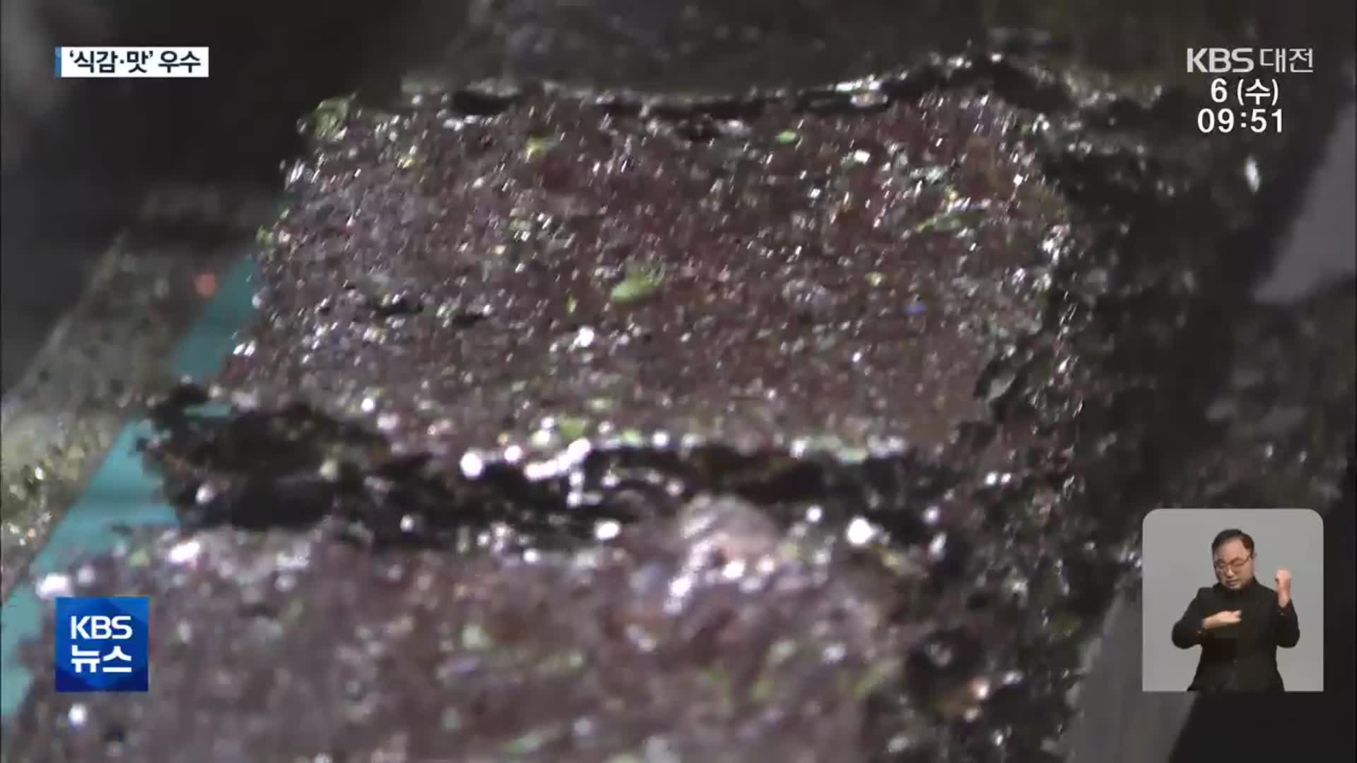 태안서 전통 지주식 김 재배…‘활성처리제’ 대신 유기농