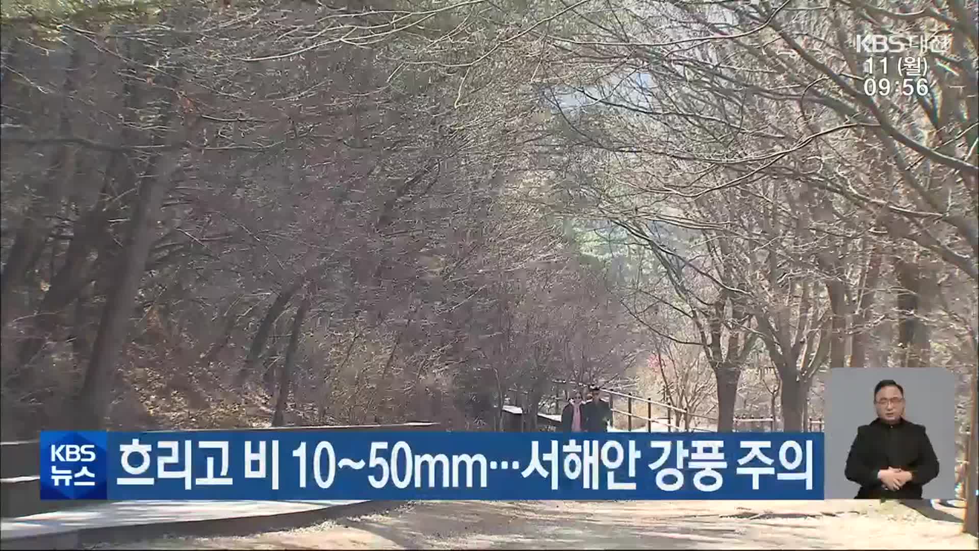 대전·세종·충남 흐리고 비 10~50mm…서해안 강풍 주의