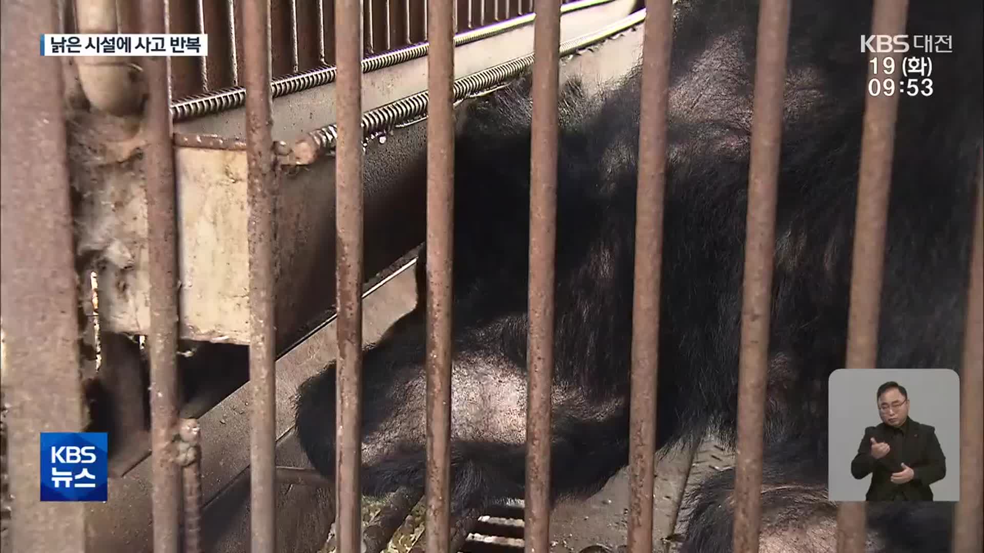 사육장서 또 곰 탈출…열악한 환경 여전