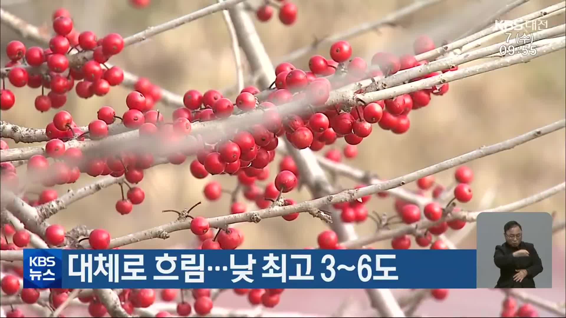 대전·세종·충남 대체로 흐림…낮 최고 3~6도
