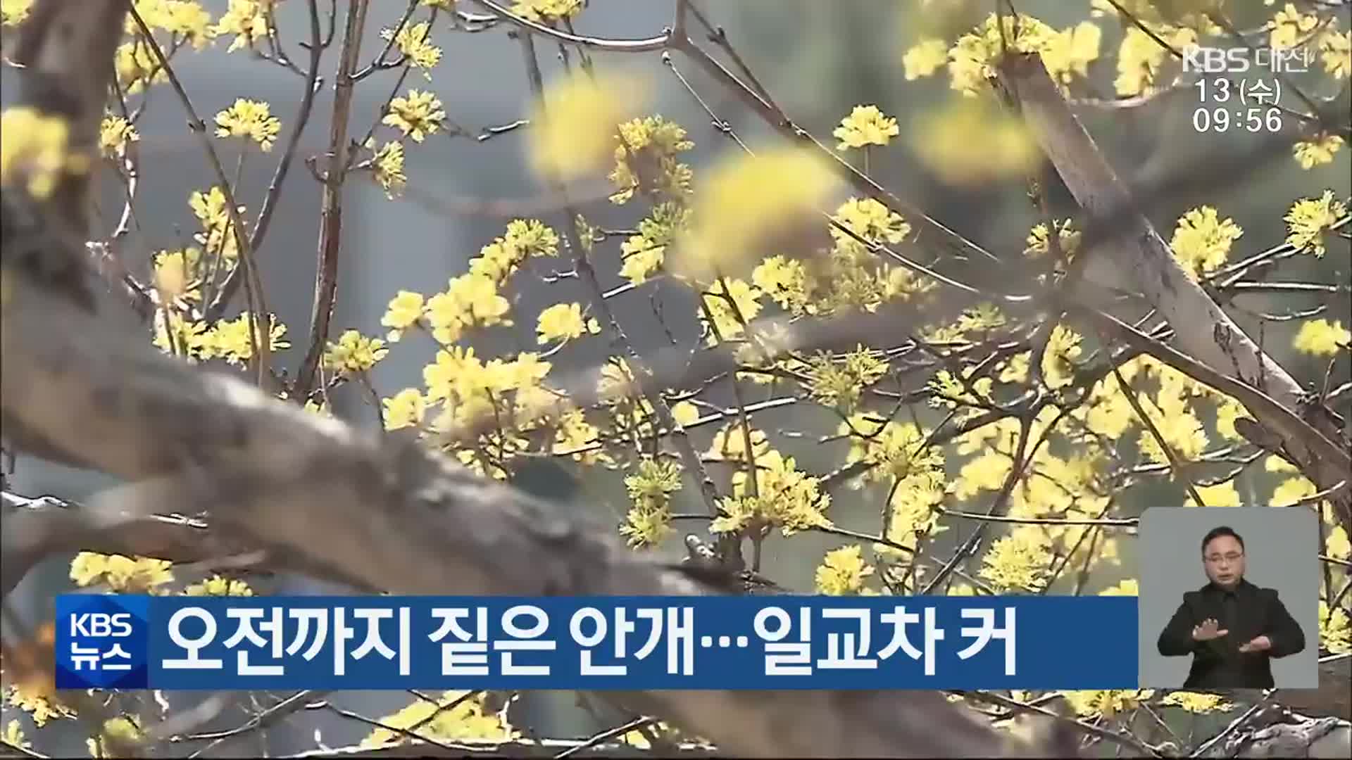 대전·세종·충남 오전까지 짙은 안개…일교차 커