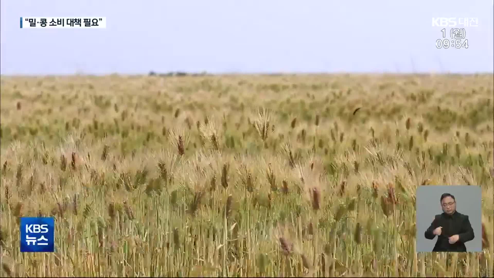 전략작물직불제 확대…“밀·콩 소비 대책 필요”