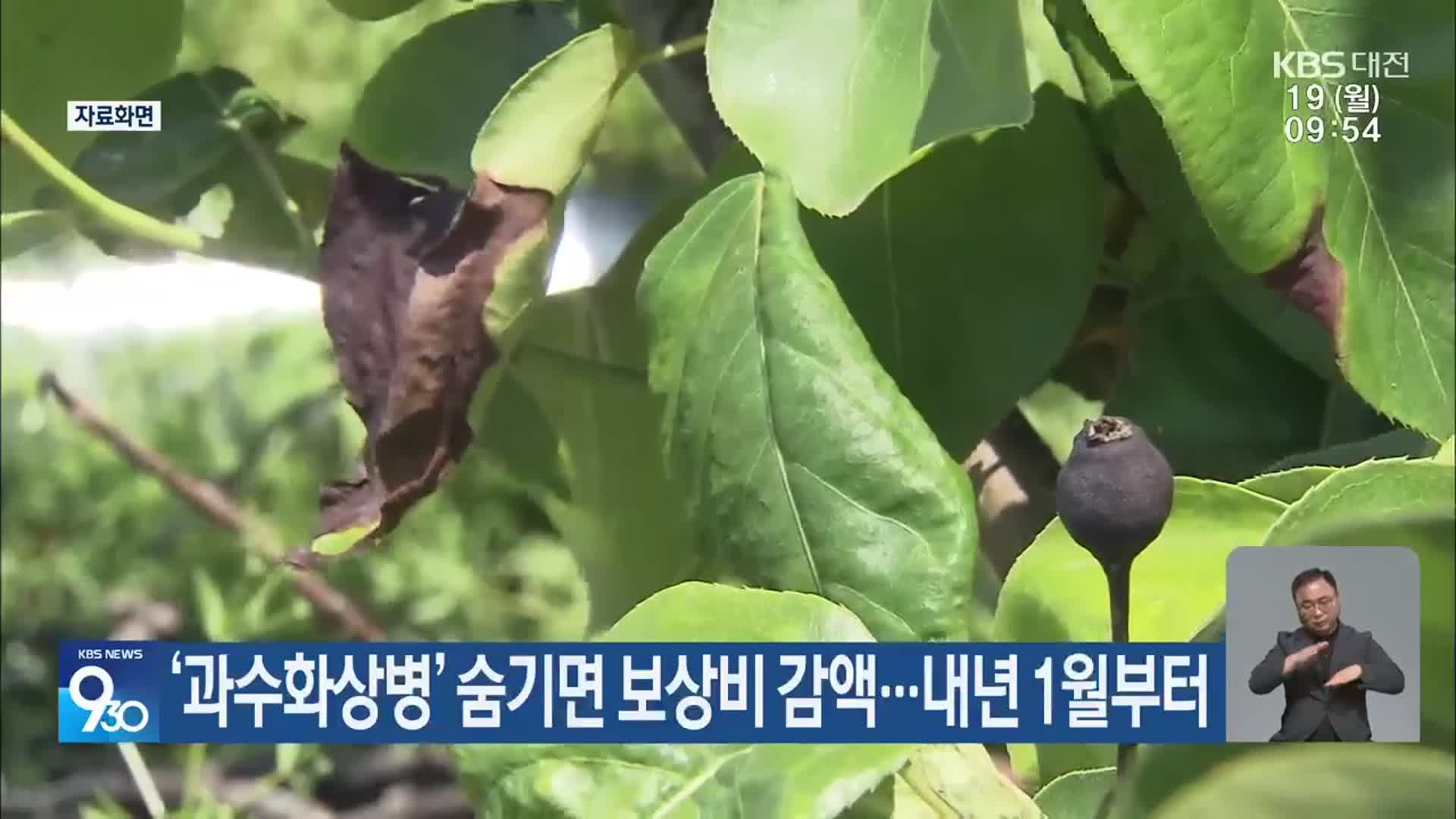 ‘과수화상병’ 숨기면 보상비 감액…내년 1월부터
