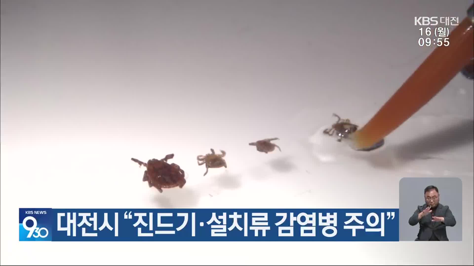 대전시 “진드기·설치류 감염병 주의”