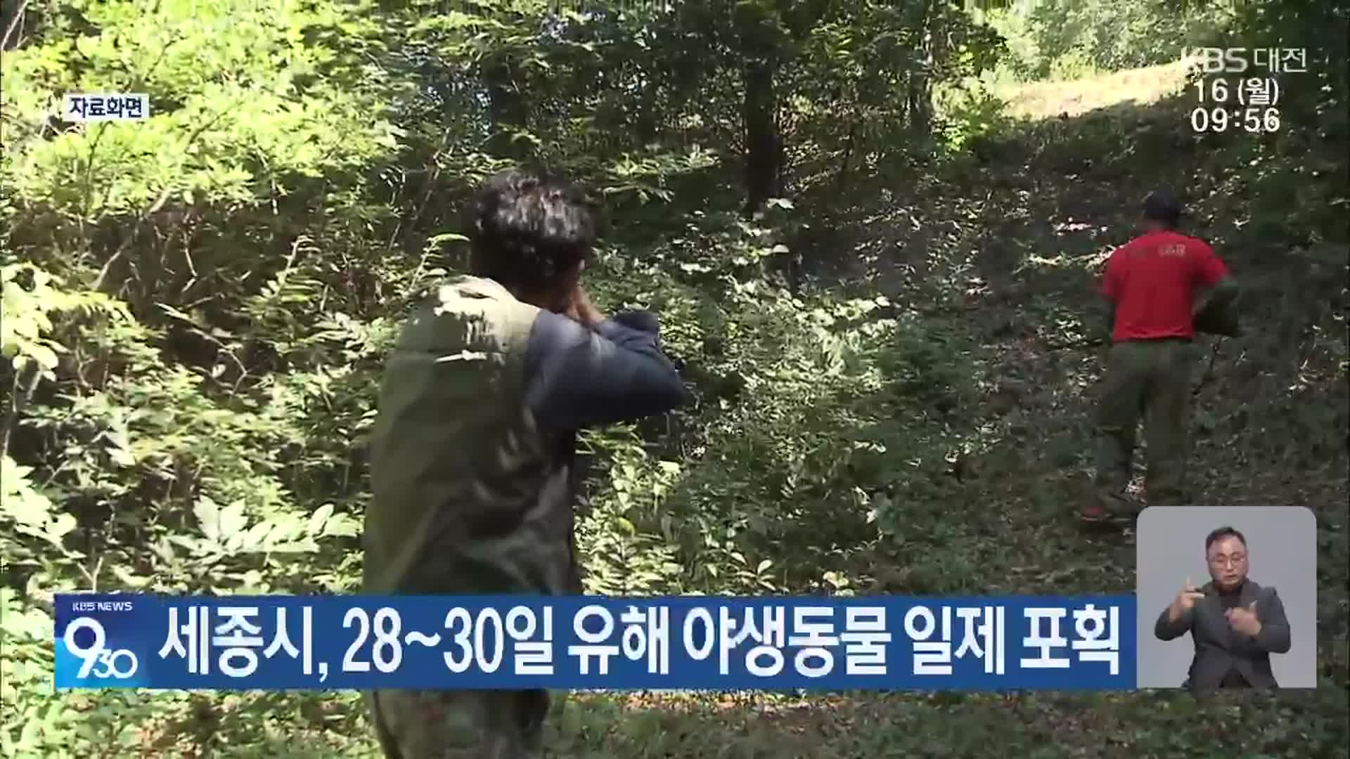 세종시, 28~30일 유해 야생동물 일제 포획