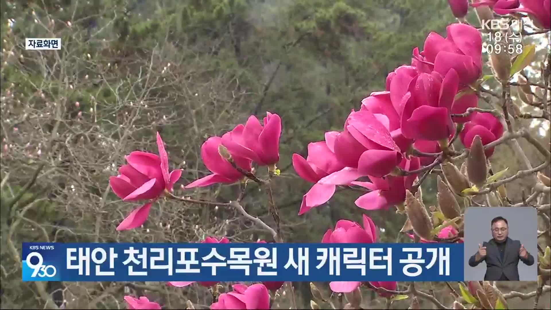 태안 천리포수목원 새 캐릭터 공개