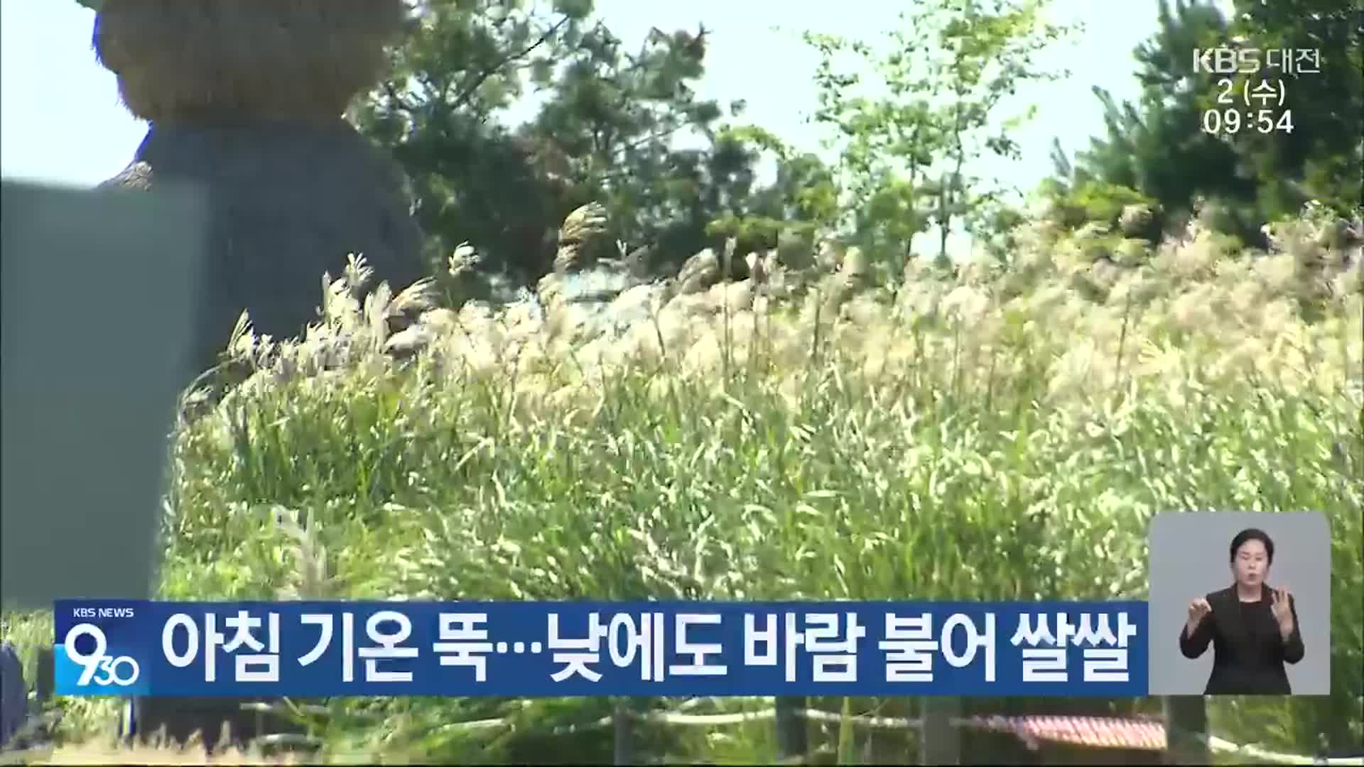 대전·세종·충남 아침 기온 뚝…낮에도 바람 불어 쌀쌀