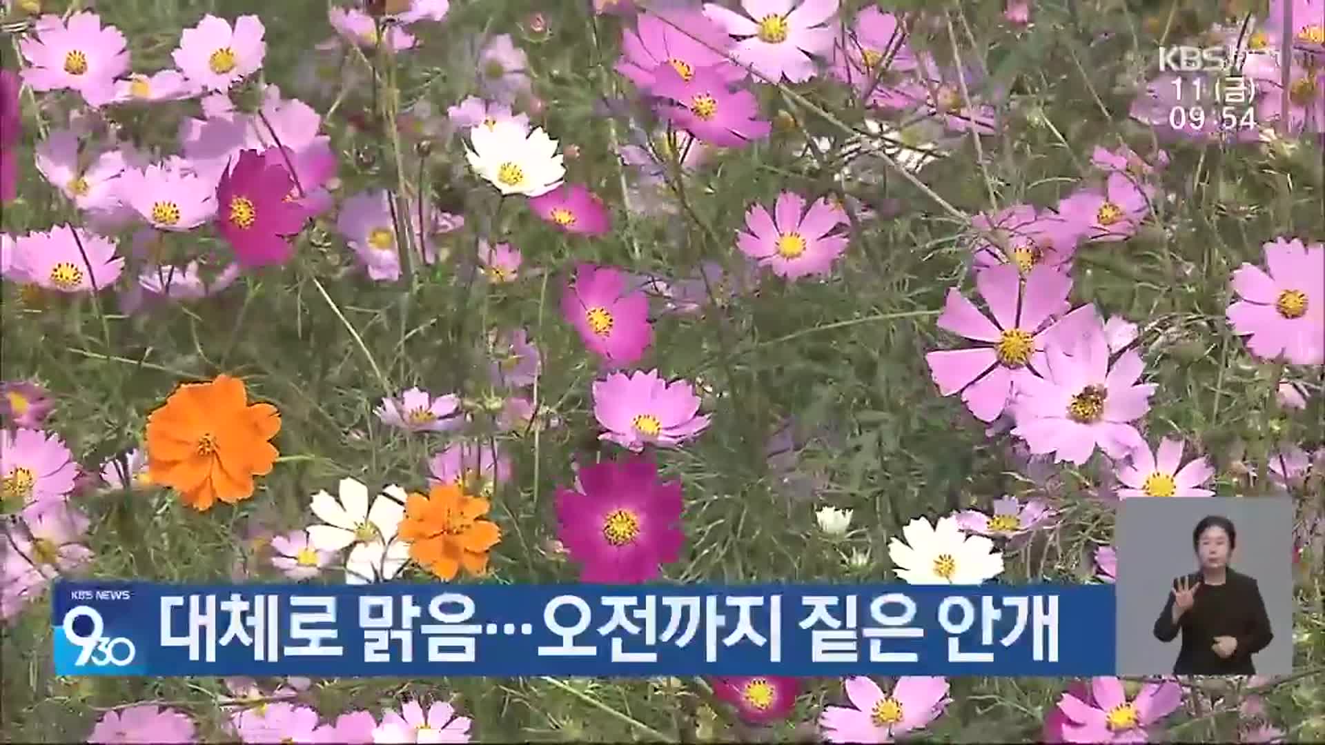 대전·세종·충남 대체로 맑음…오전까지 짙은 안개