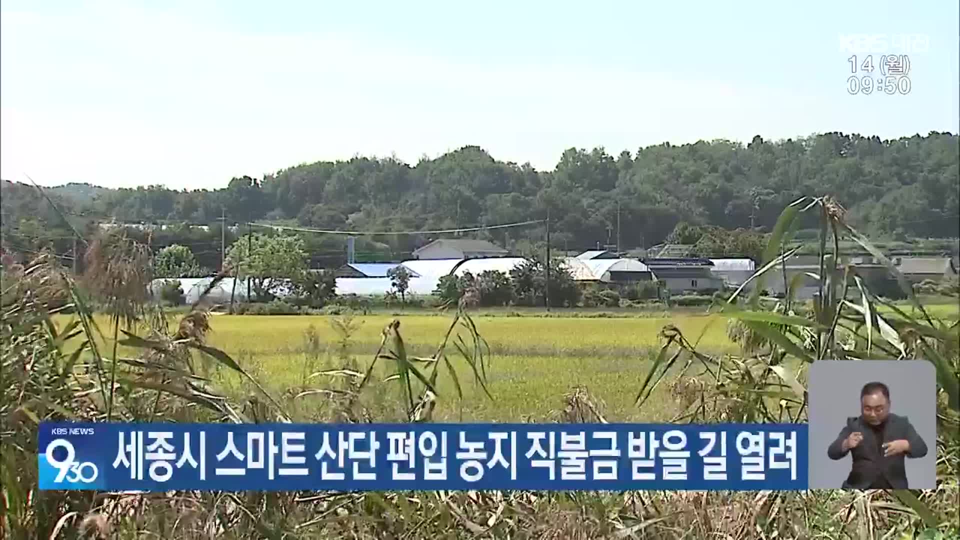 세종시 스마트 산단 편입 농지 직불금 받을 길 열려