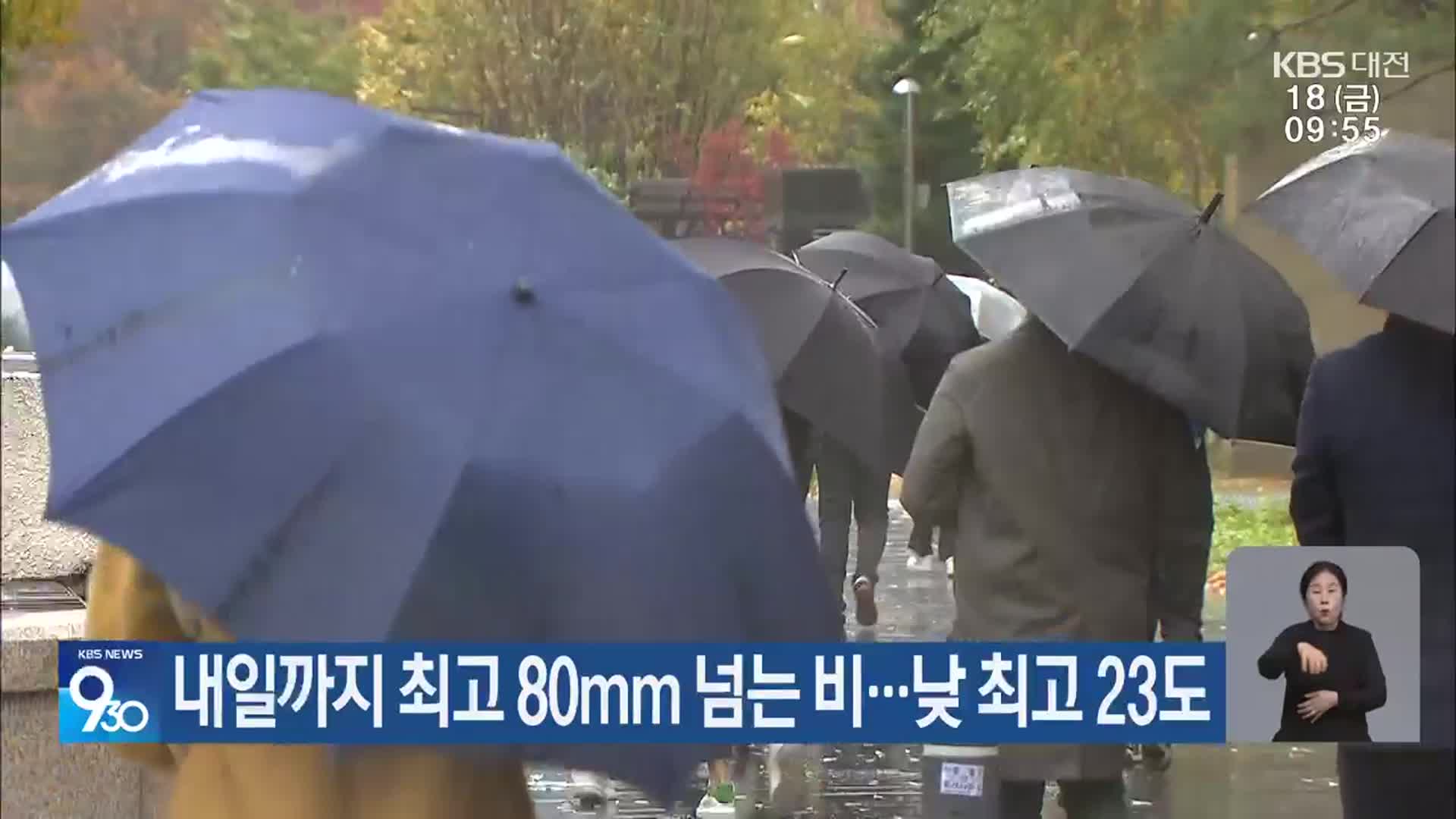 대전·세종·충남 내일까지 최고 80mm 넘는 비…낮 최고 23도