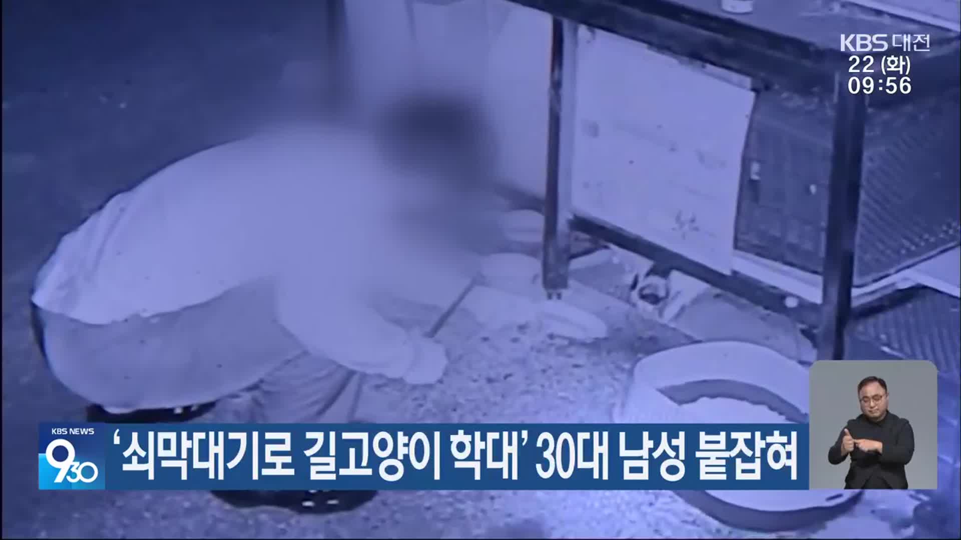 ‘쇠막대기로 길고양이 학대’ 30대 남성 붙잡혀