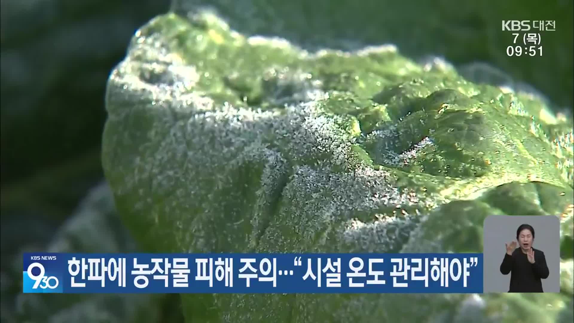 한파에 농작물 피해 주의…“시설 온도 관리해야”