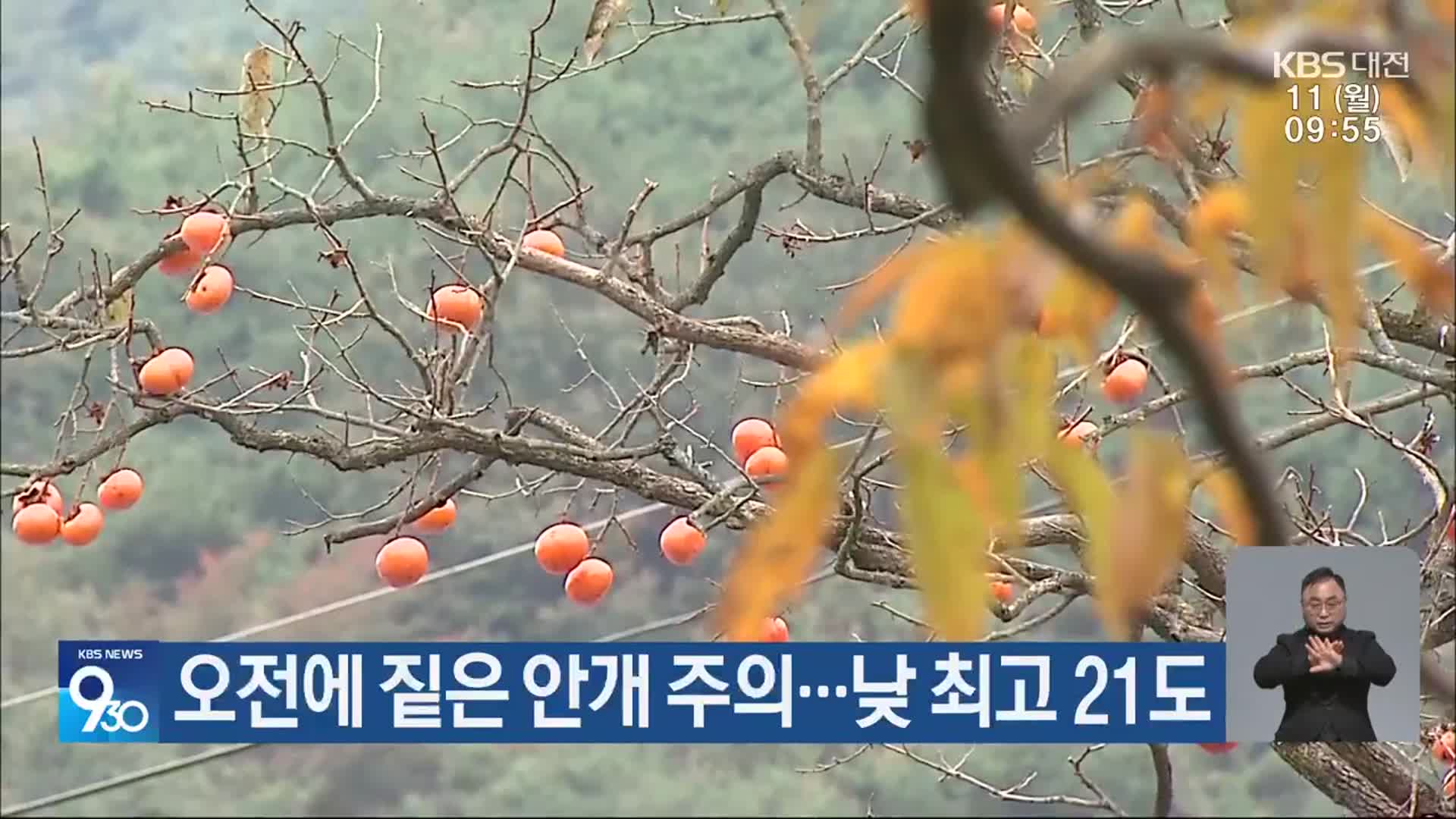 대전·세종·충남 오전에 짙은 안개 주의…낮 최고 21도