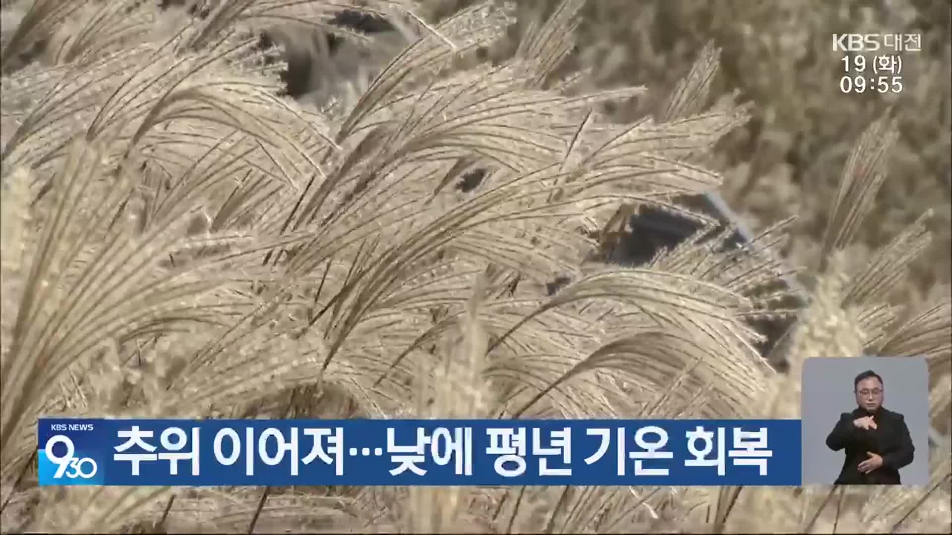 대전·세종·충남 추위 이어져…낮엔 평년 기온 회복