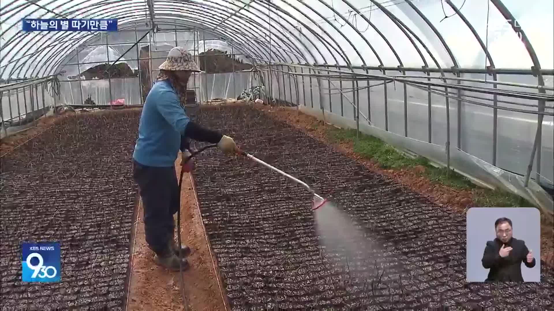 본격적인 영농철…외국인 계절근로자 숙소 확보 비상