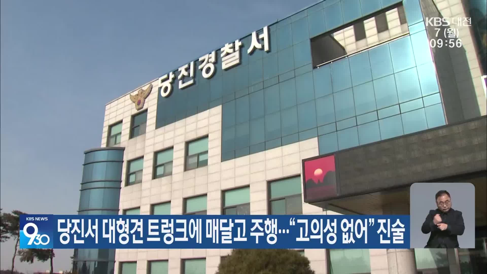 당진서 대형견 트렁크에 매달고 주행…“고의성 없어” 진술