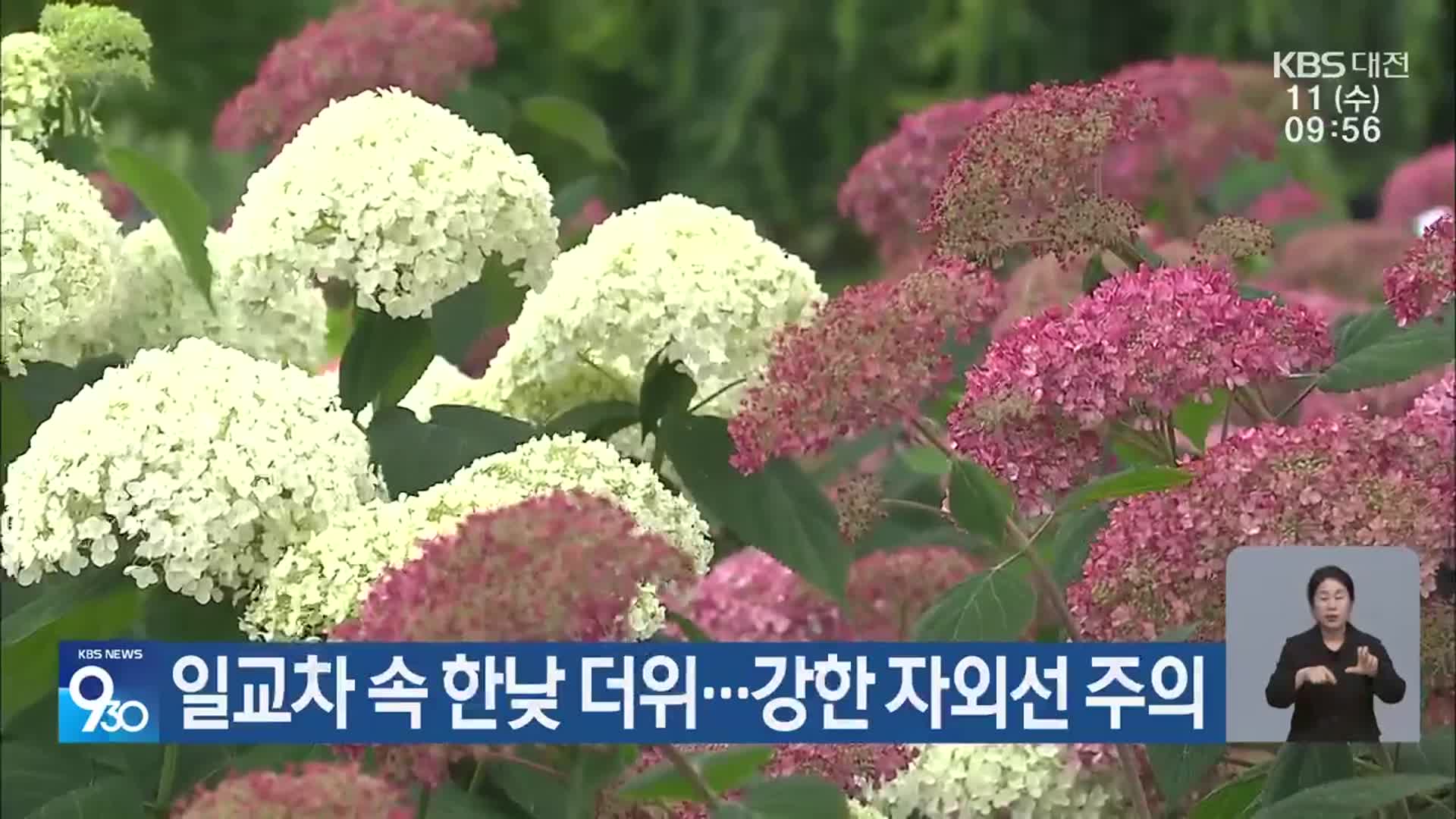 대전·세종·충남 일교차 속 한낮 더위…강한 자외선 주의