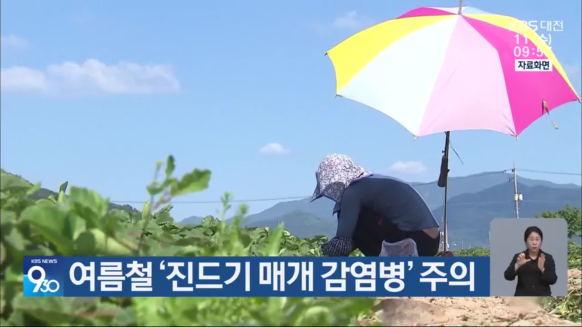 여름철 ‘진드기 매개 감염병’ 주의