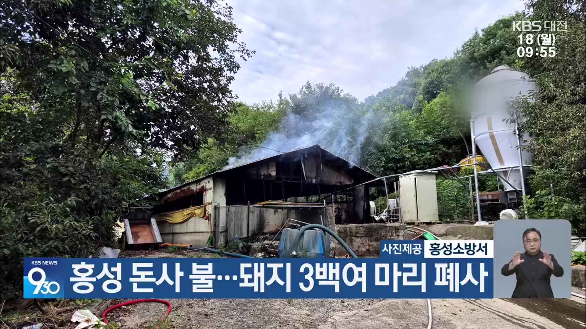 홍성 돈사 불…돼지 3백여 마리 폐사