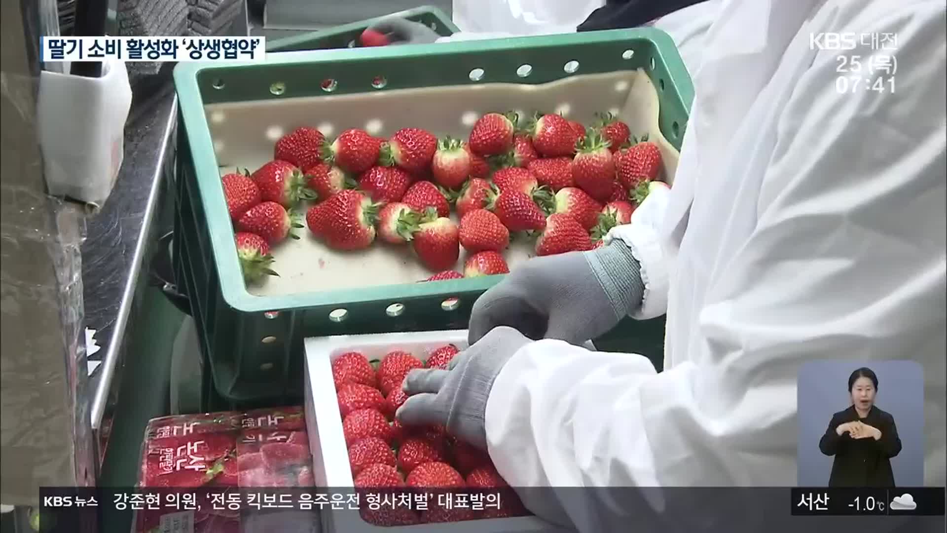 코로나19 위기속 대기업-딸기농가 상생협약