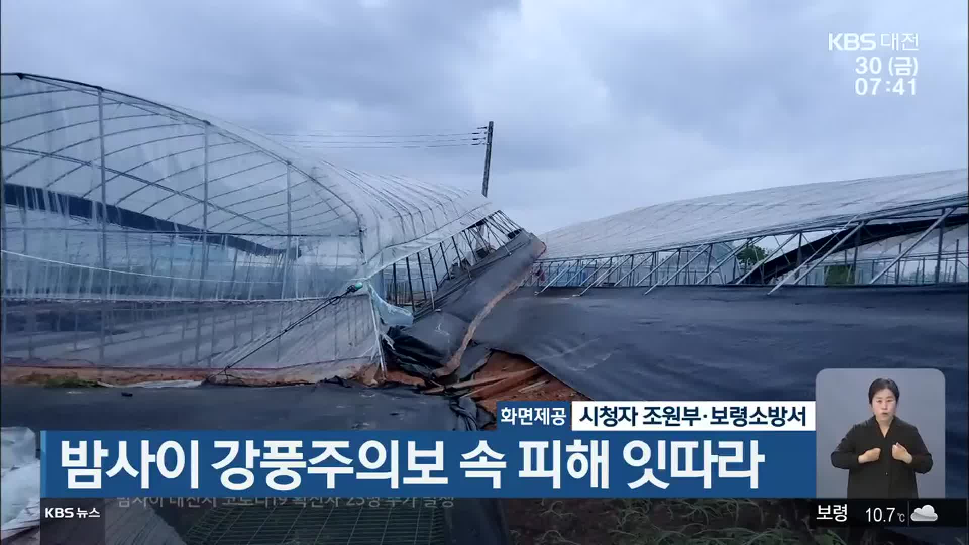 대전·세종·충남 밤사이 강풍주의보 속 피해 잇따라