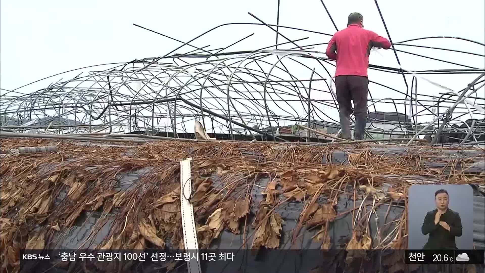 회오리바람에 장맛비 피해까지…농민들 ‘망연자실’