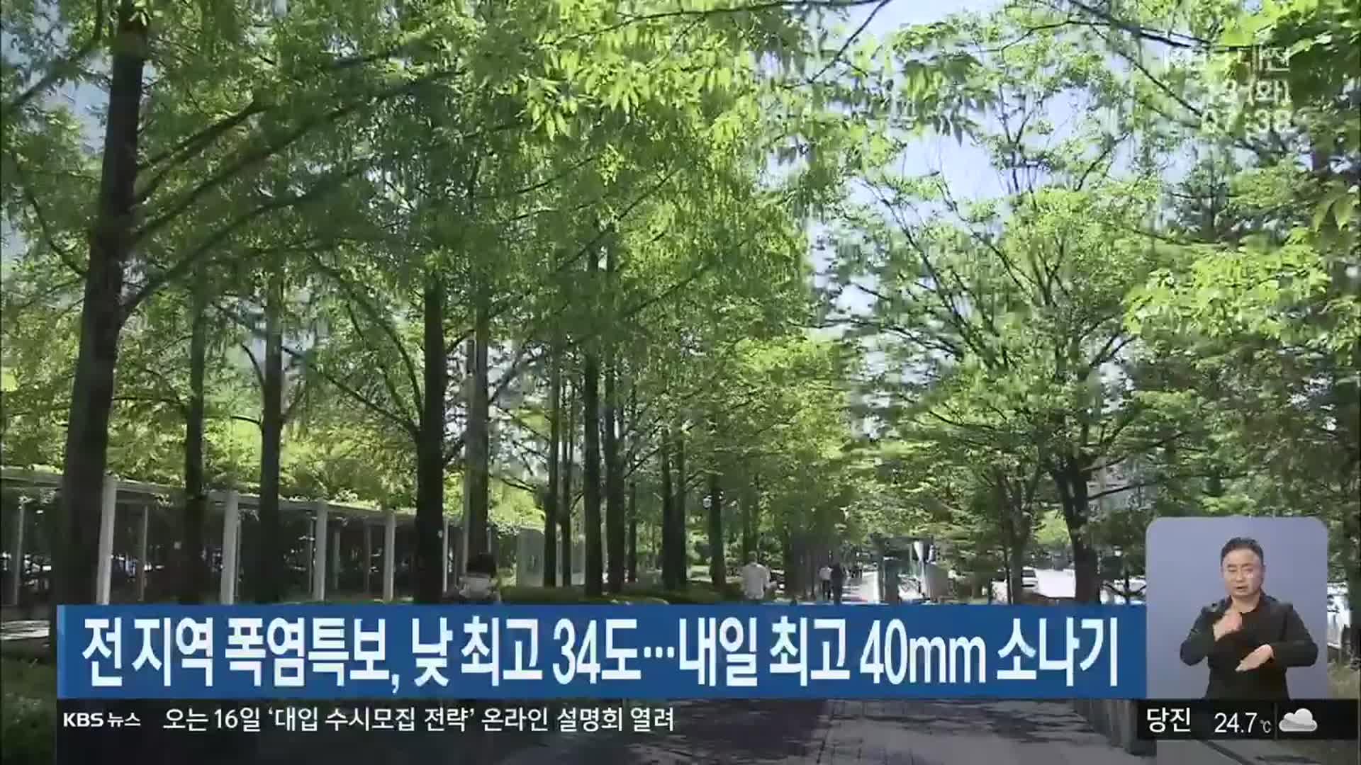 대전·세종·충남 전 지역 폭염특보, 낮 최고 34도…내일 최고 40mm 소나기