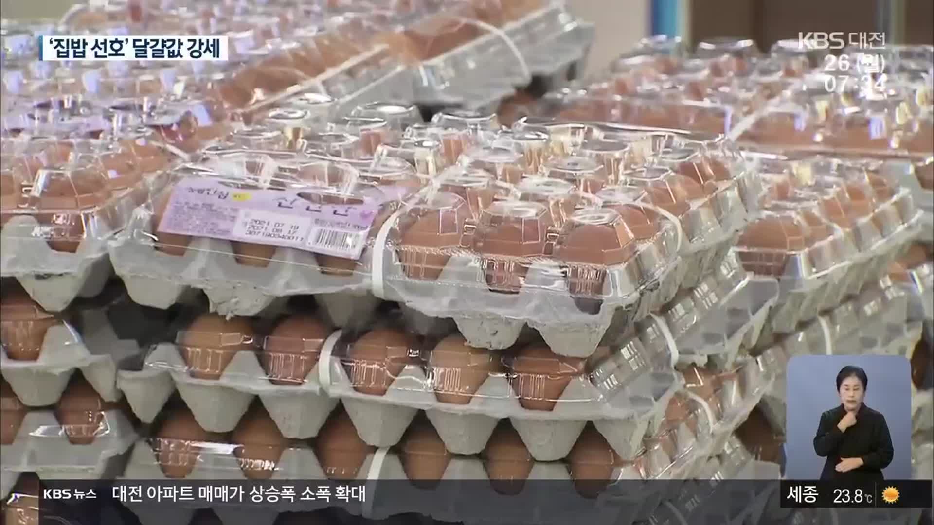 ‘집밥’ 선호…달걀값 고공행진에 ‘금란’