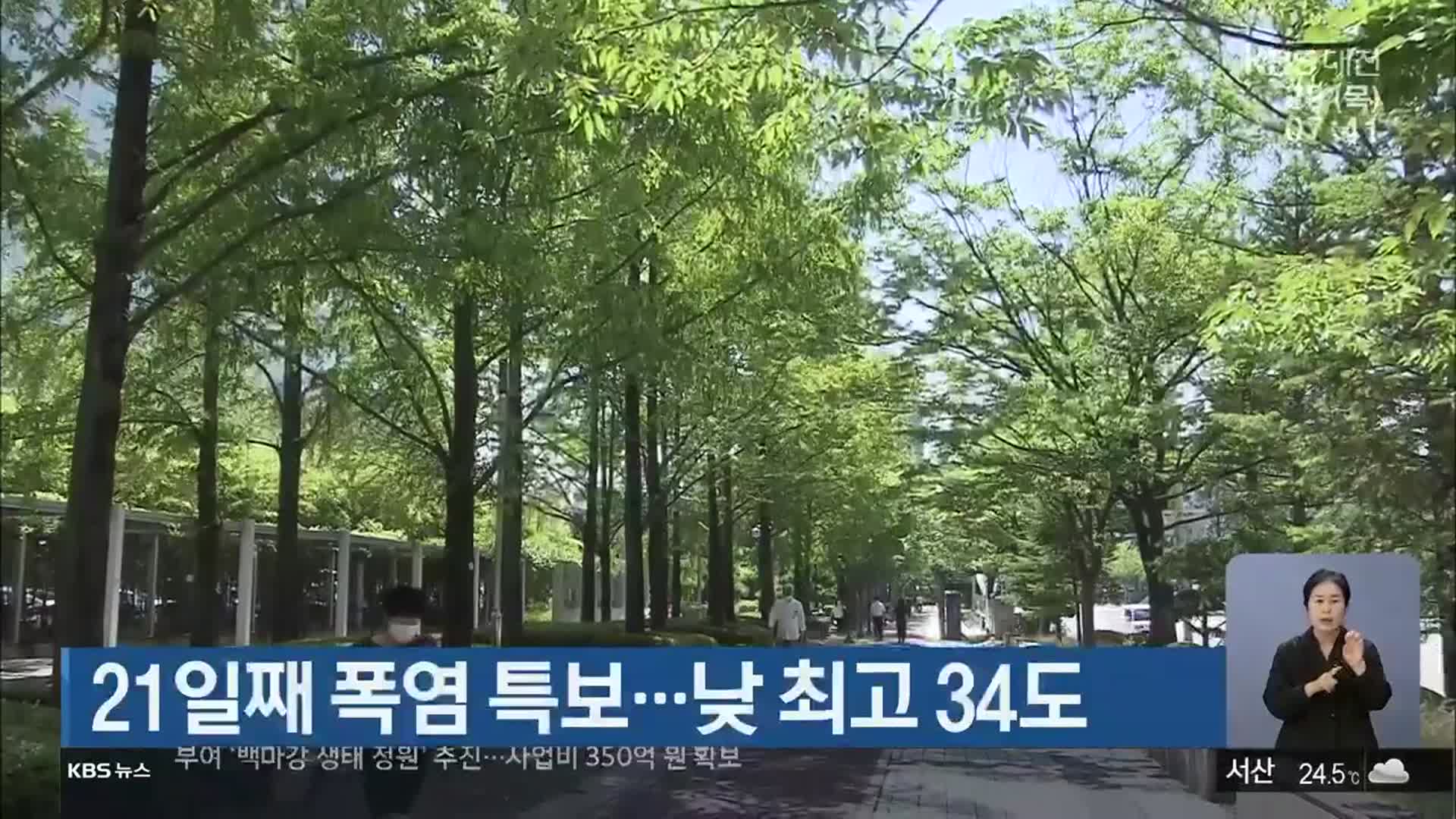 대전·세종·충남 21일째 폭염 특보…낮 최고 34도