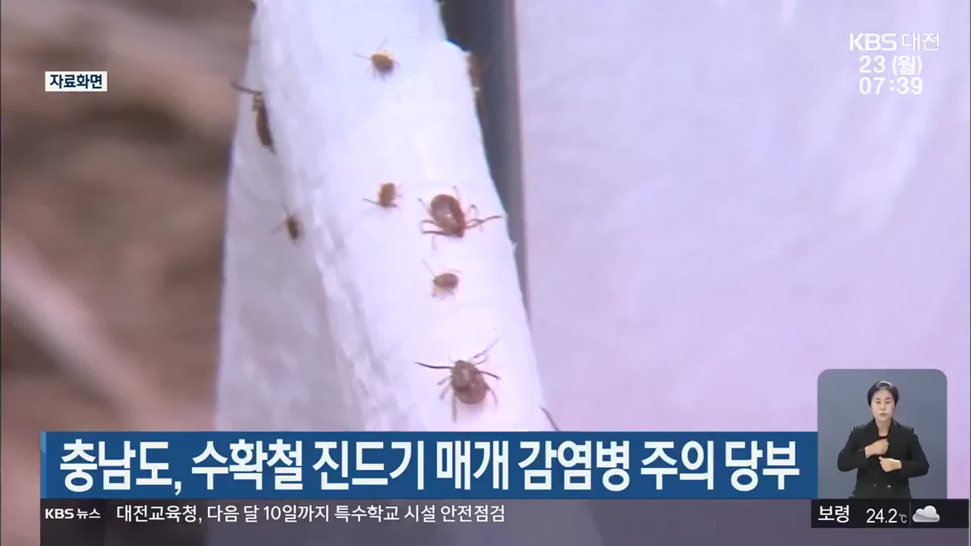 충남도, 수확철 진드기 매개 감염병 주의 당부